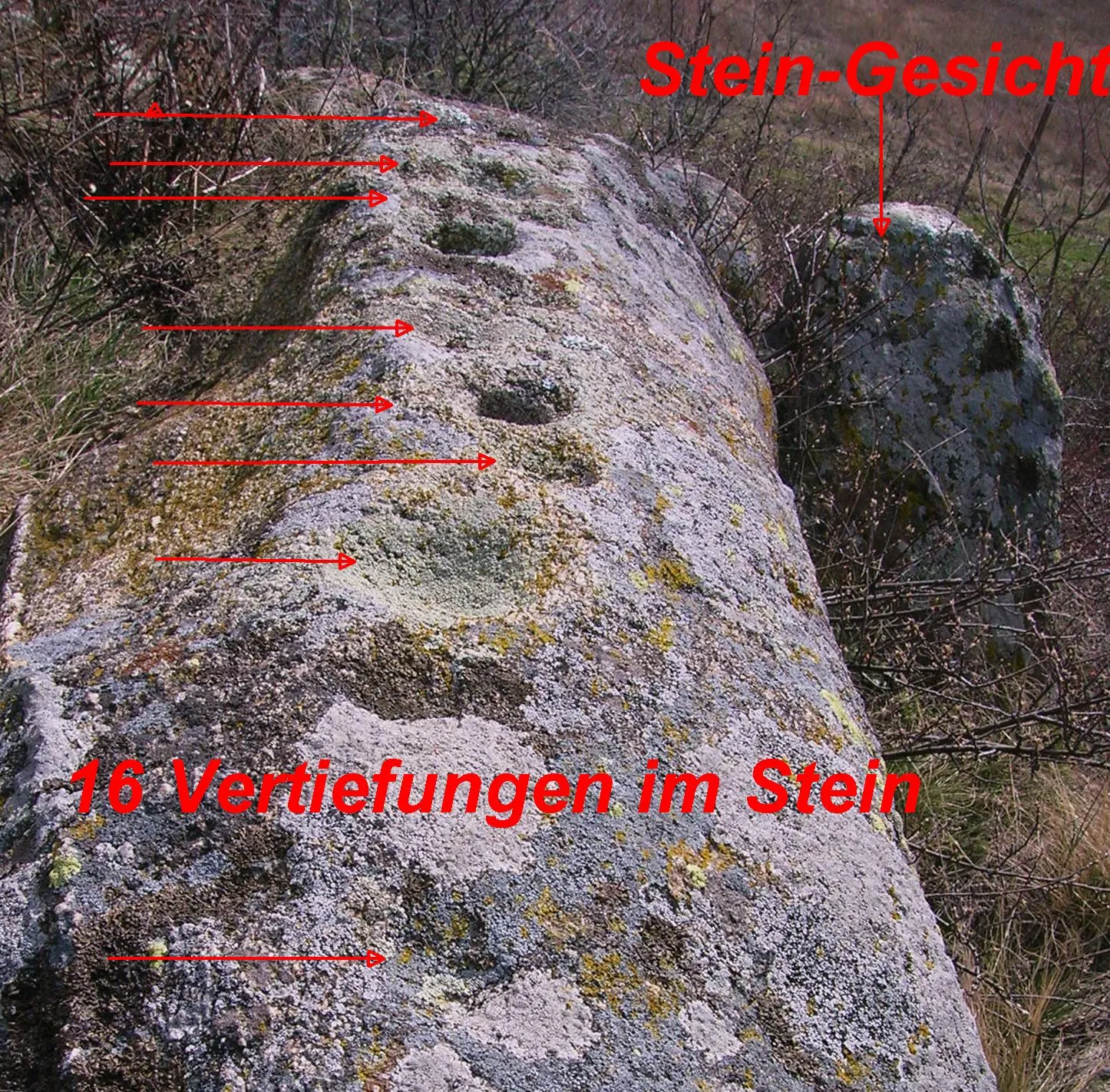 Photo showing: Kalenderstein Leodagger mit 16 Schälchen