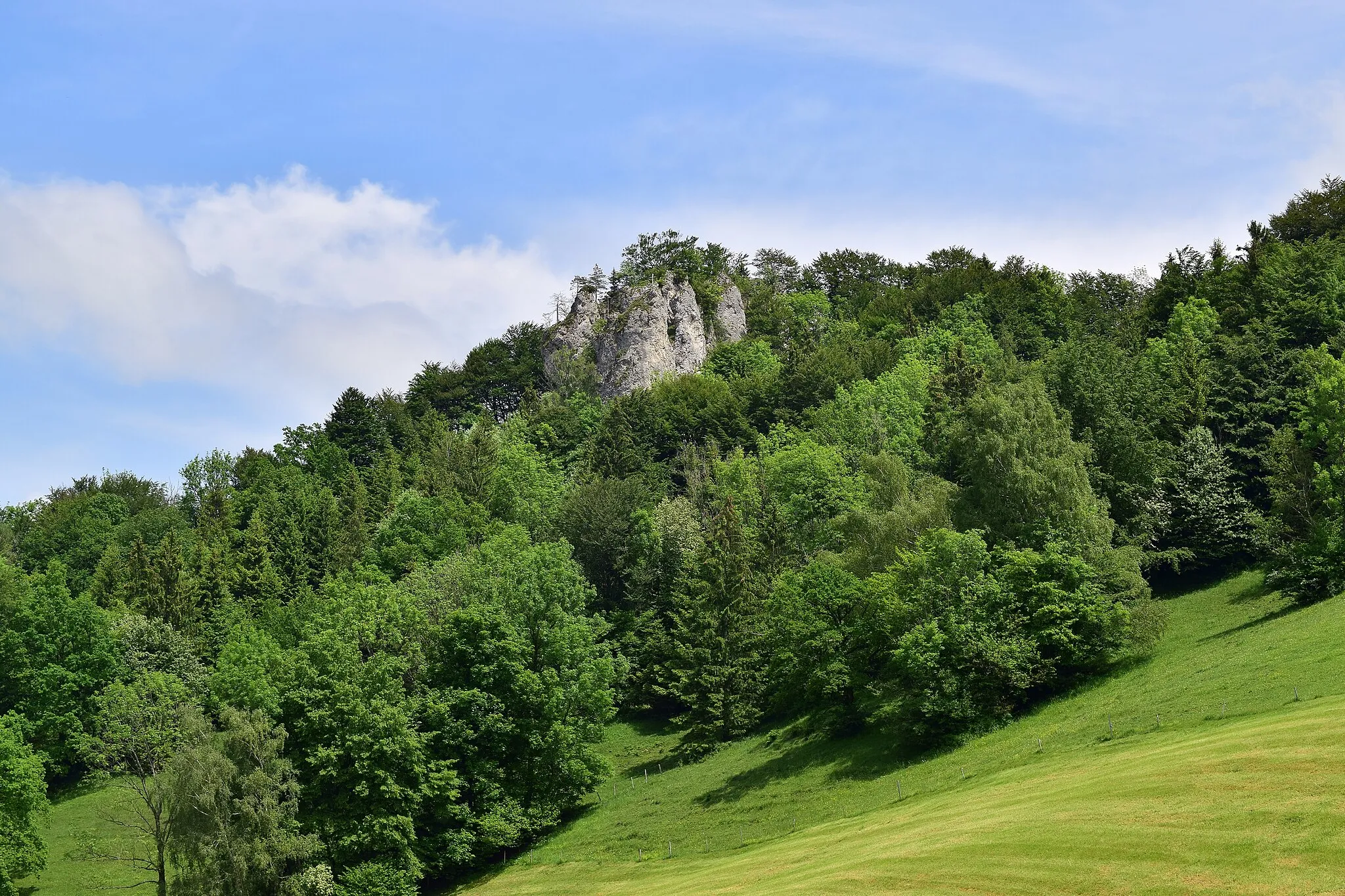 Photo showing: This media shows the natural monument in Upper Austria  with the ID nd333.