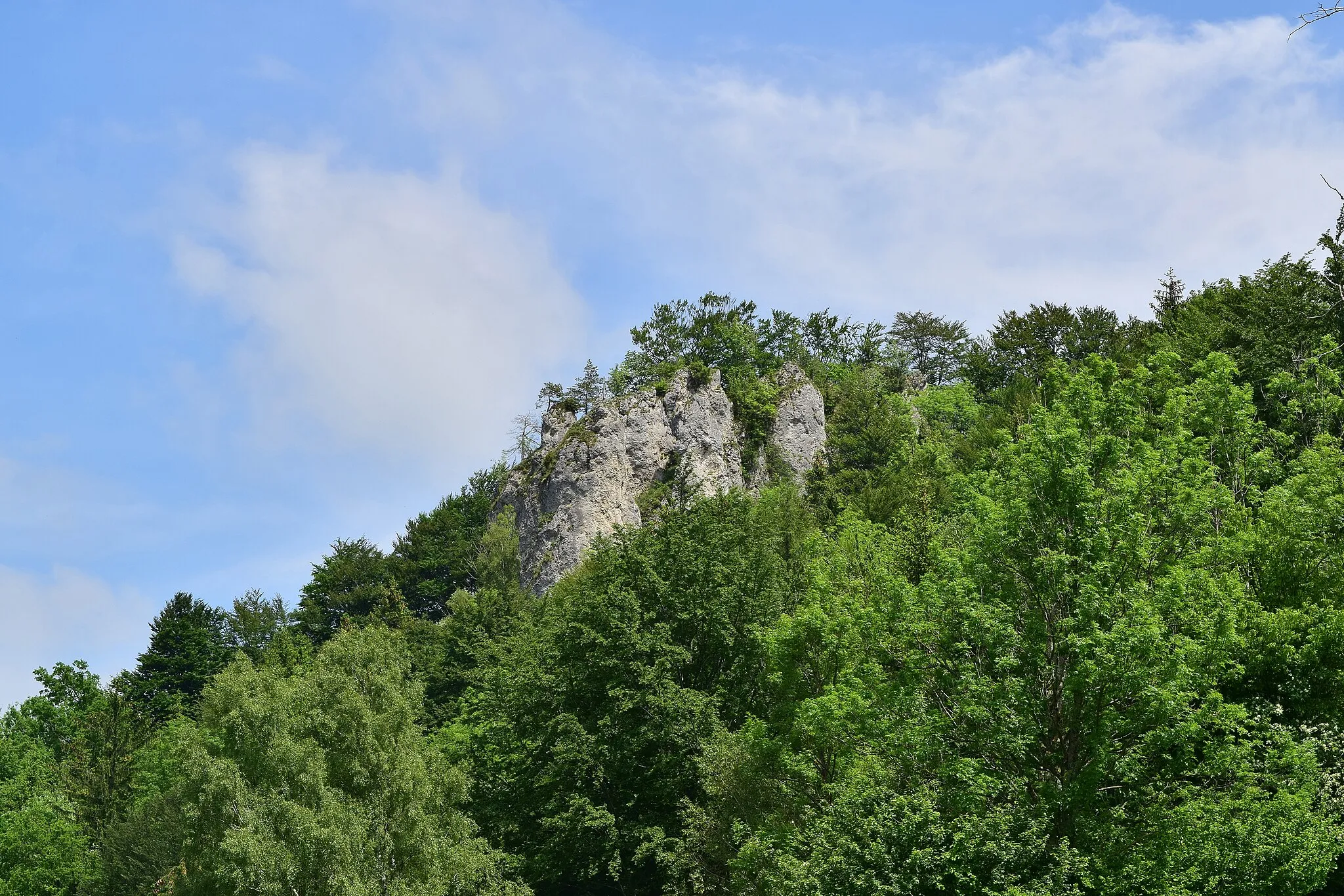 Photo showing: This media shows the natural monument in Upper Austria  with the ID nd333.