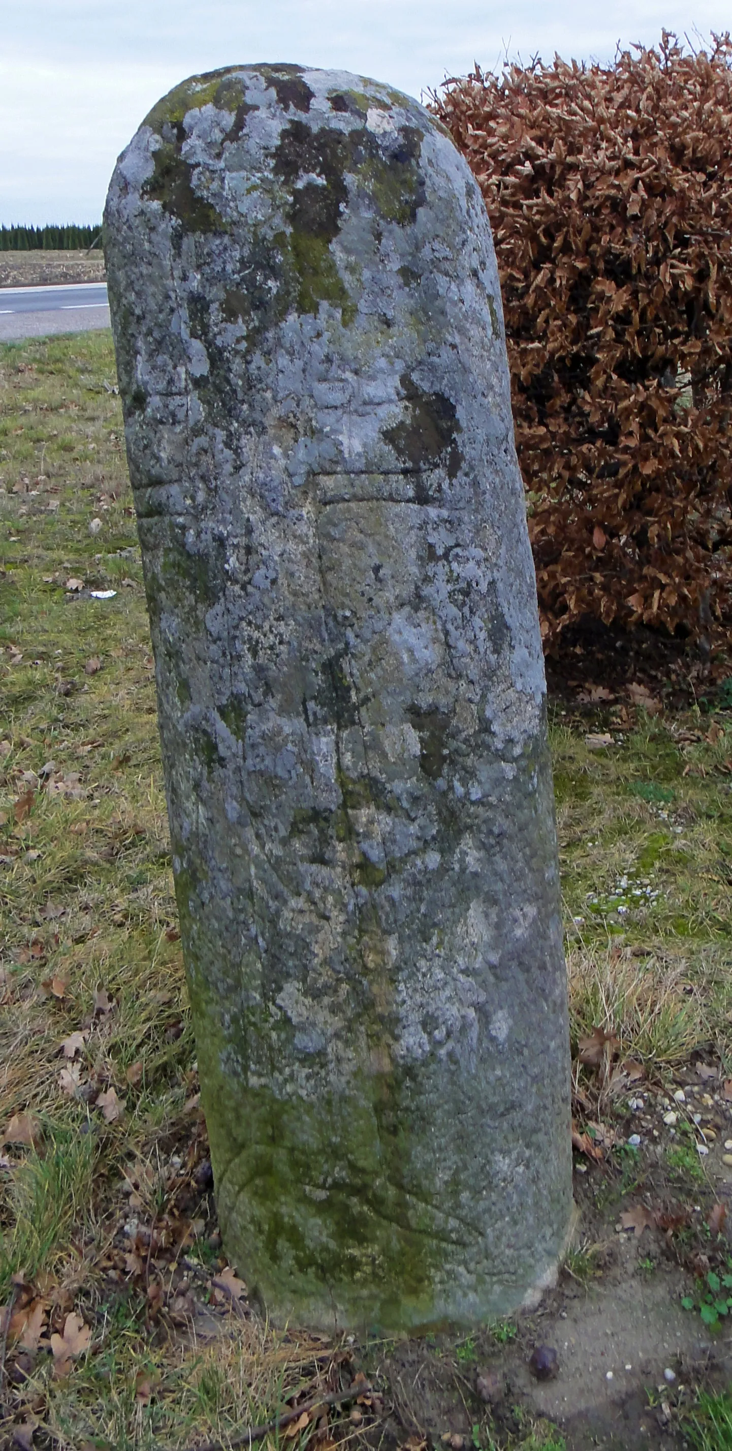 Photo showing: Einzelfund (Römische Kaiserzeit), Sog. Erdäpfelsack, 3430 Nitzing, L120, Kilometer 2,90
