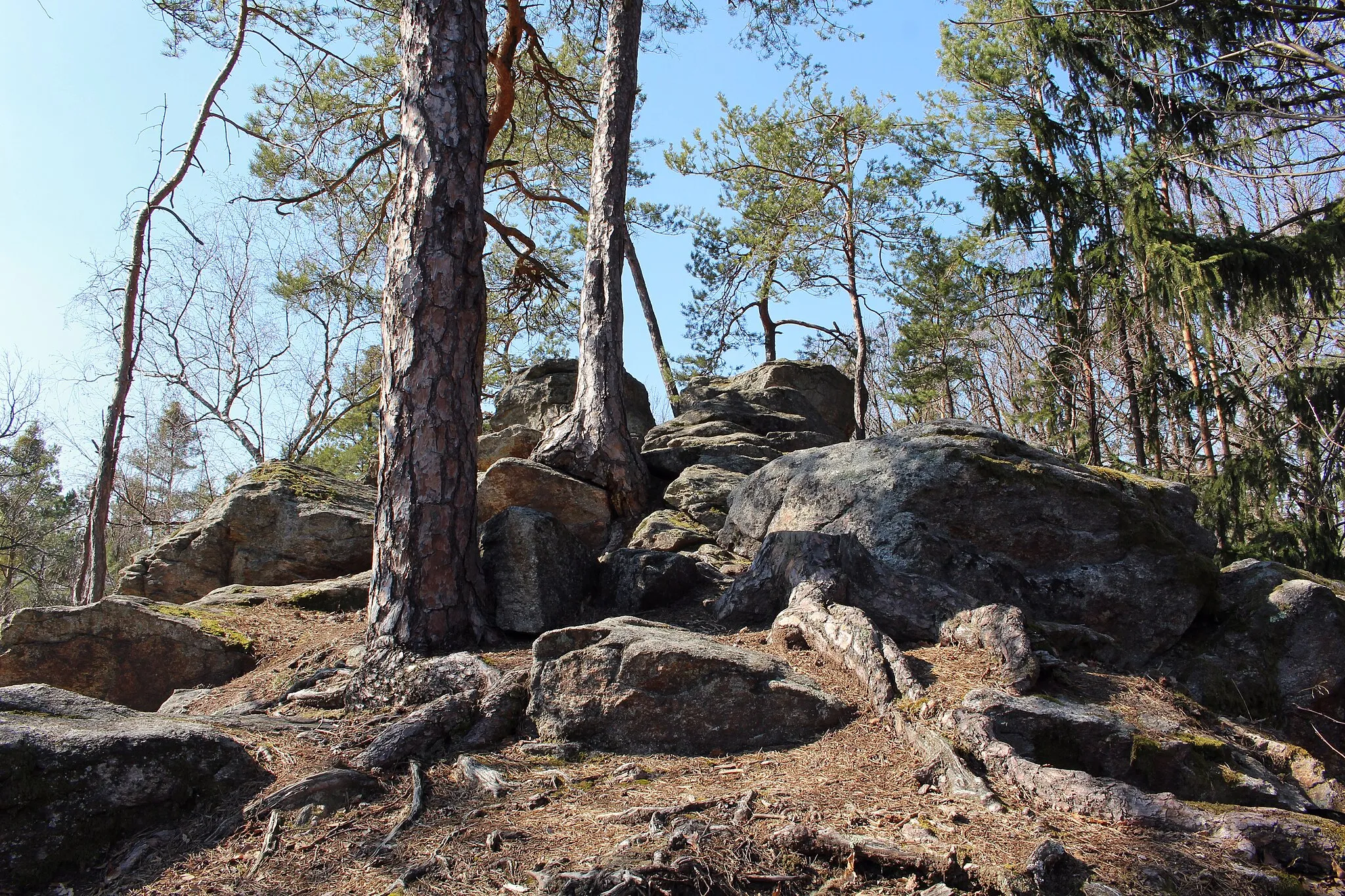 Photo showing: This media shows the natural monument in Lower Austria  with the ID WB-100.