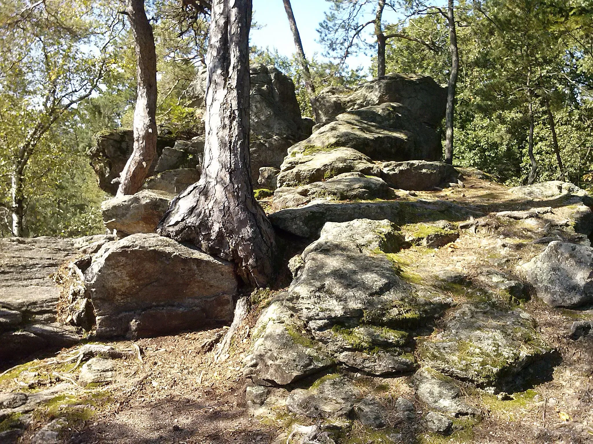 Photo showing: Radigundenstein in der Nähe von Kirchschlag