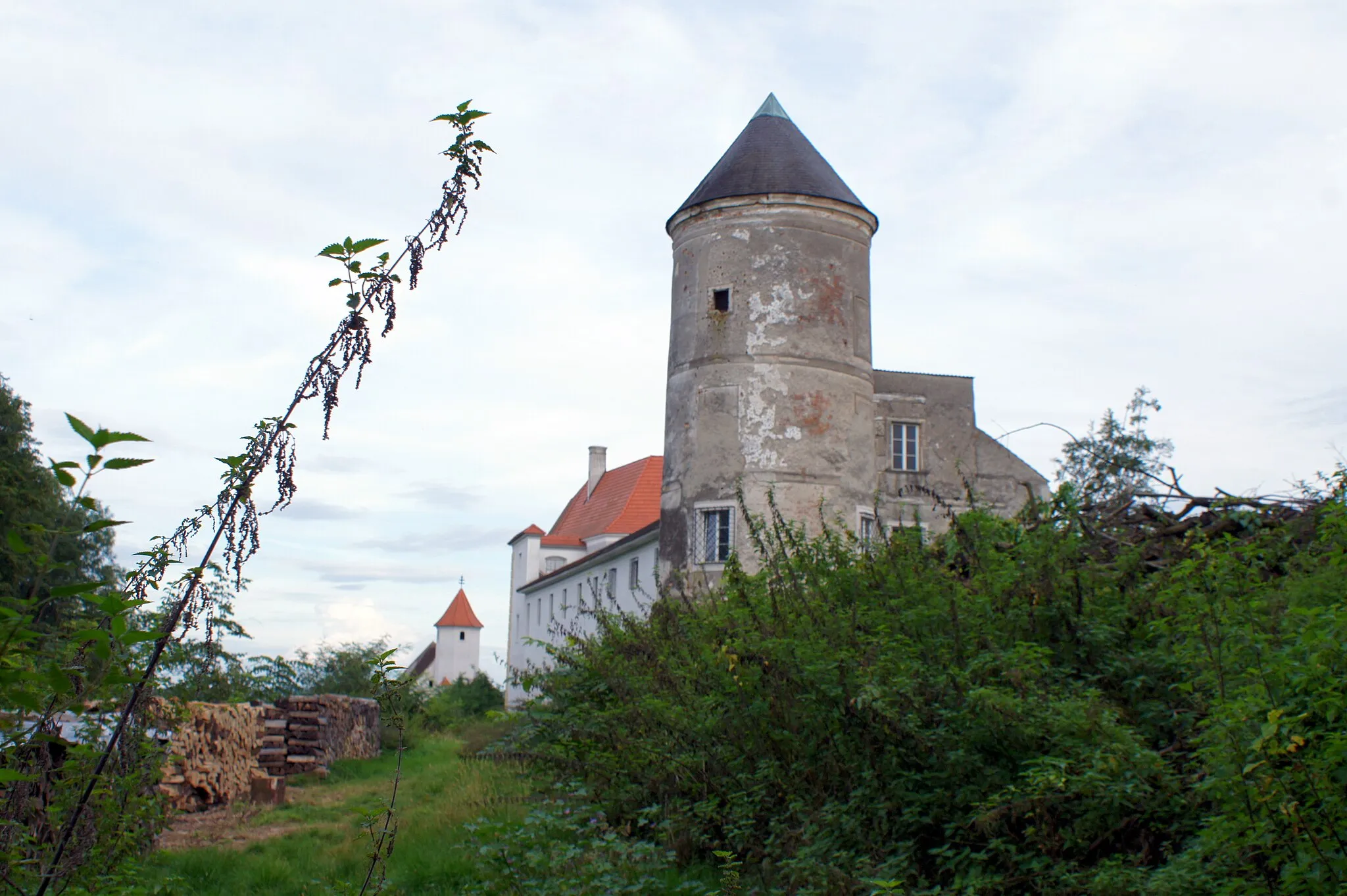 Photo showing: Schloss Viehofen

The making of this work was supported by Wikimedia Austria.
For other files made with the support of Wikimedia Austria, please see the category Supported by Wikimedia Österreich.