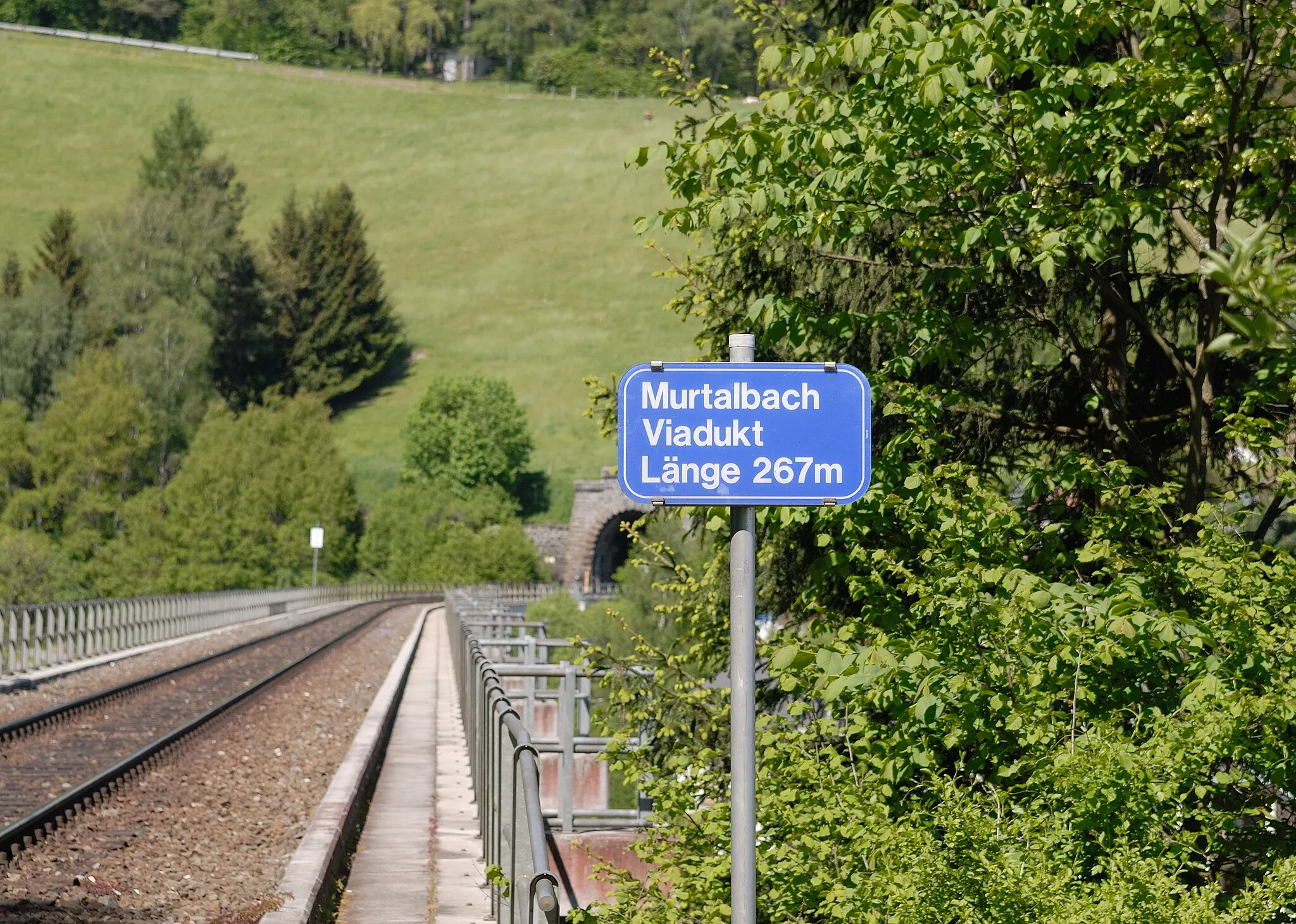 Photo showing: Informationsschild beim Murtalbachviadukt der Wechselbahn, Blick richtung Westen zum Portal des Gerichtsbergtunnels. Niederösterreich