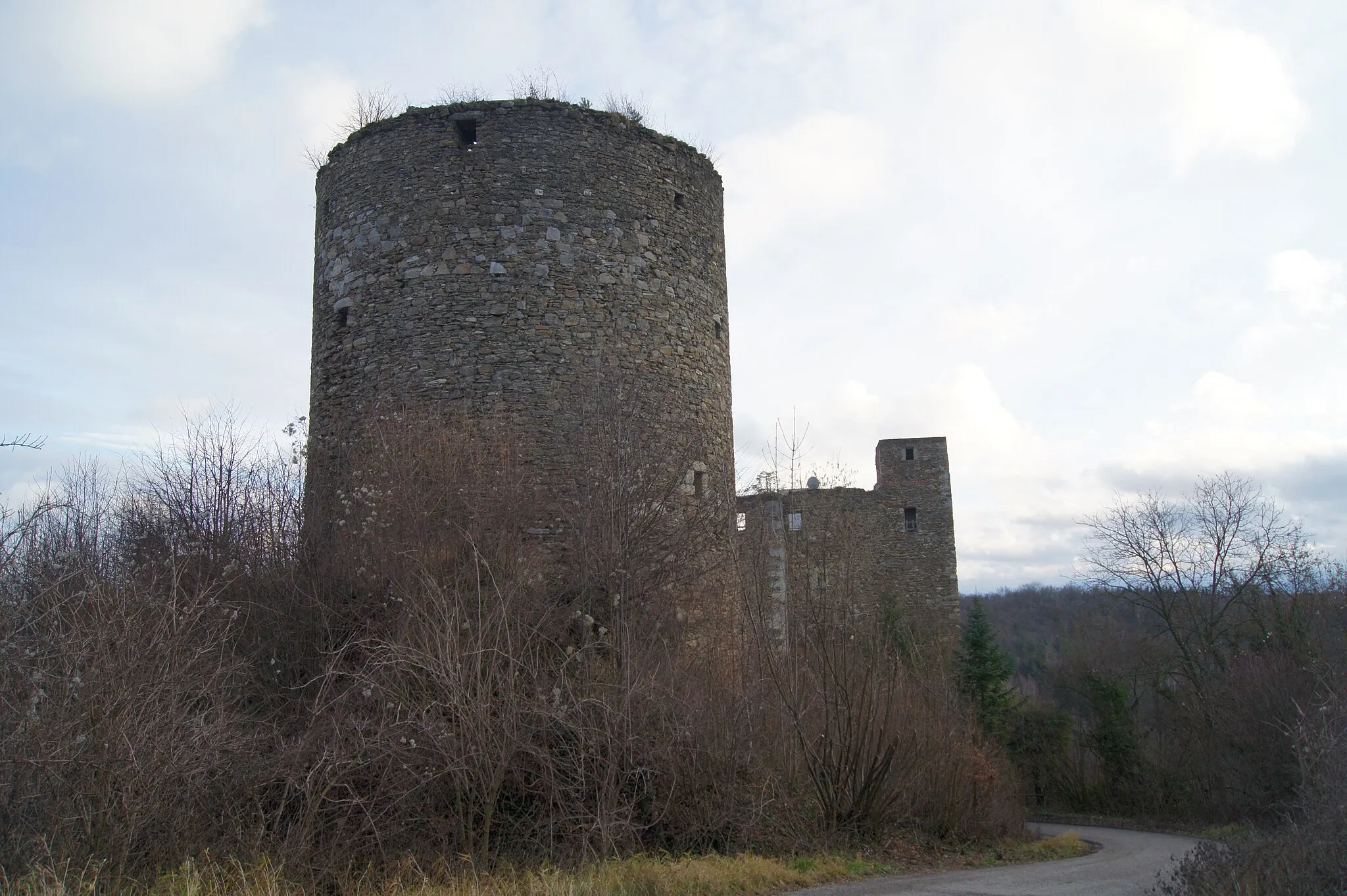 Photo showing: Ein Turm der Burgruine Osterburg