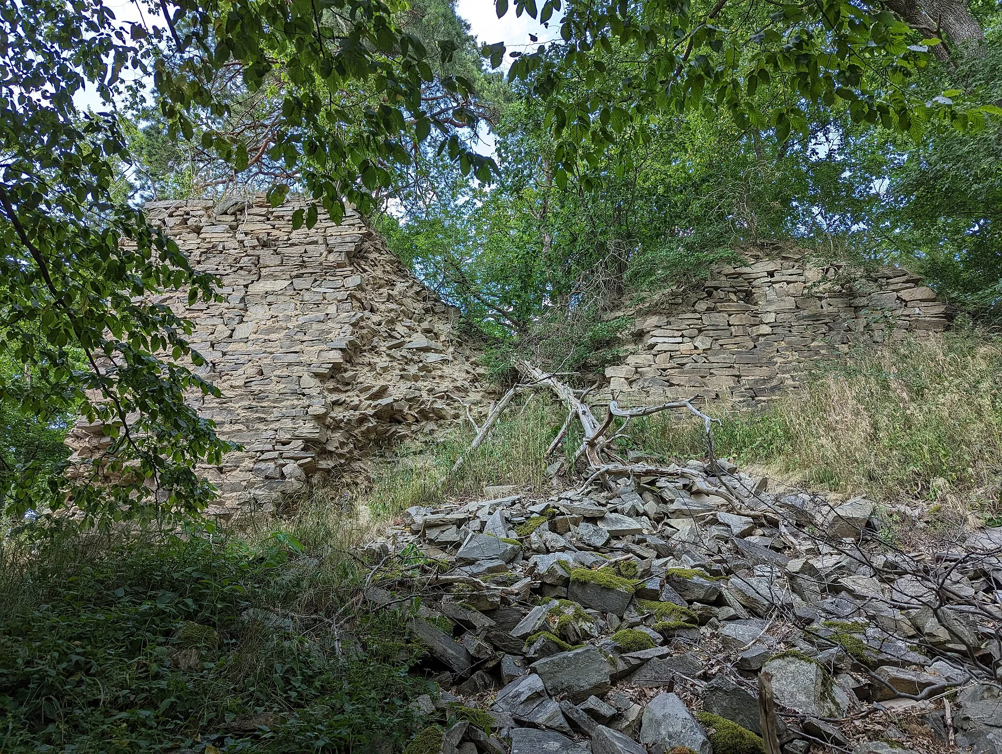 Photo showing: Ruine Fuchsberg (Burgruine in Irnfritz-Messern, Bezirk Horn, Österreich)