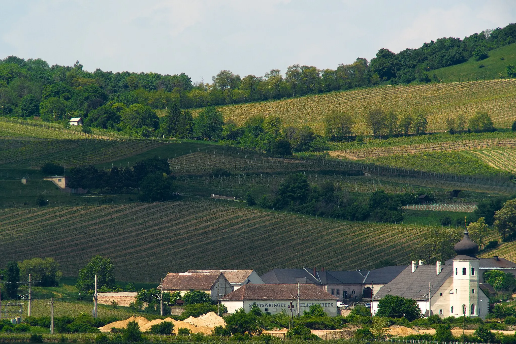 Photo showing: Das Freigut Thallern - Stiftsweingut Heiligenkreuz ist eines der ältesten Weingüter Österreichs und liegt im Gemeindegebiet von Gumpoldskirchen (Bez. Mödling, NÖ).