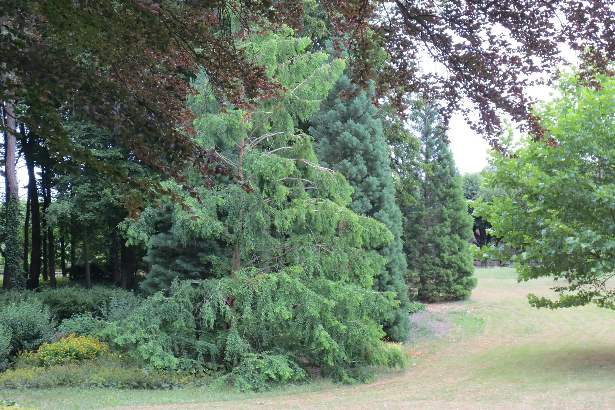 Photo showing: This media shows the natural monument in Lower Austria  with the ID HO-050.