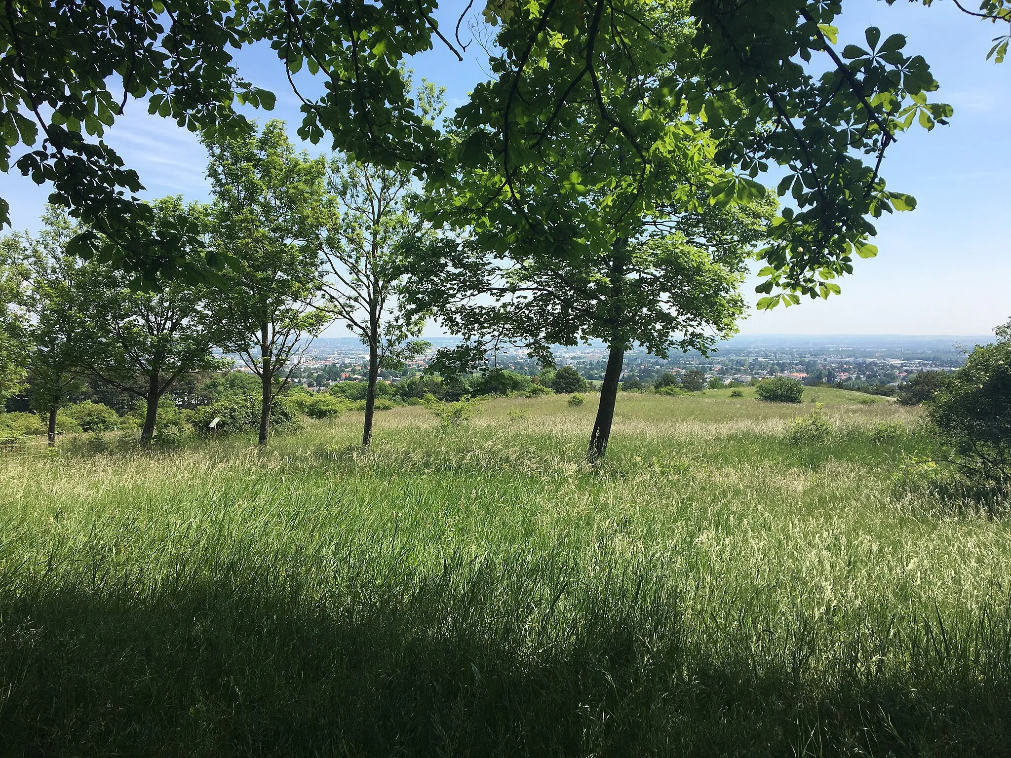 Photo showing: This media shows the natural monument in Lower Austria  with the ID MD-001.