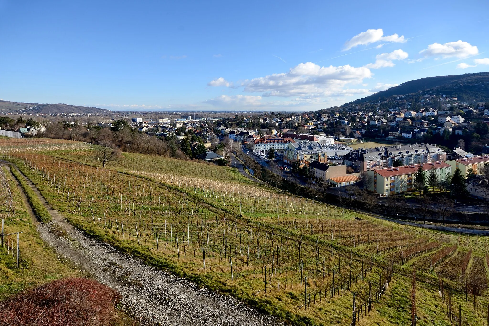 Photo showing: Weinberge oberhalb der Weidlinger Straße