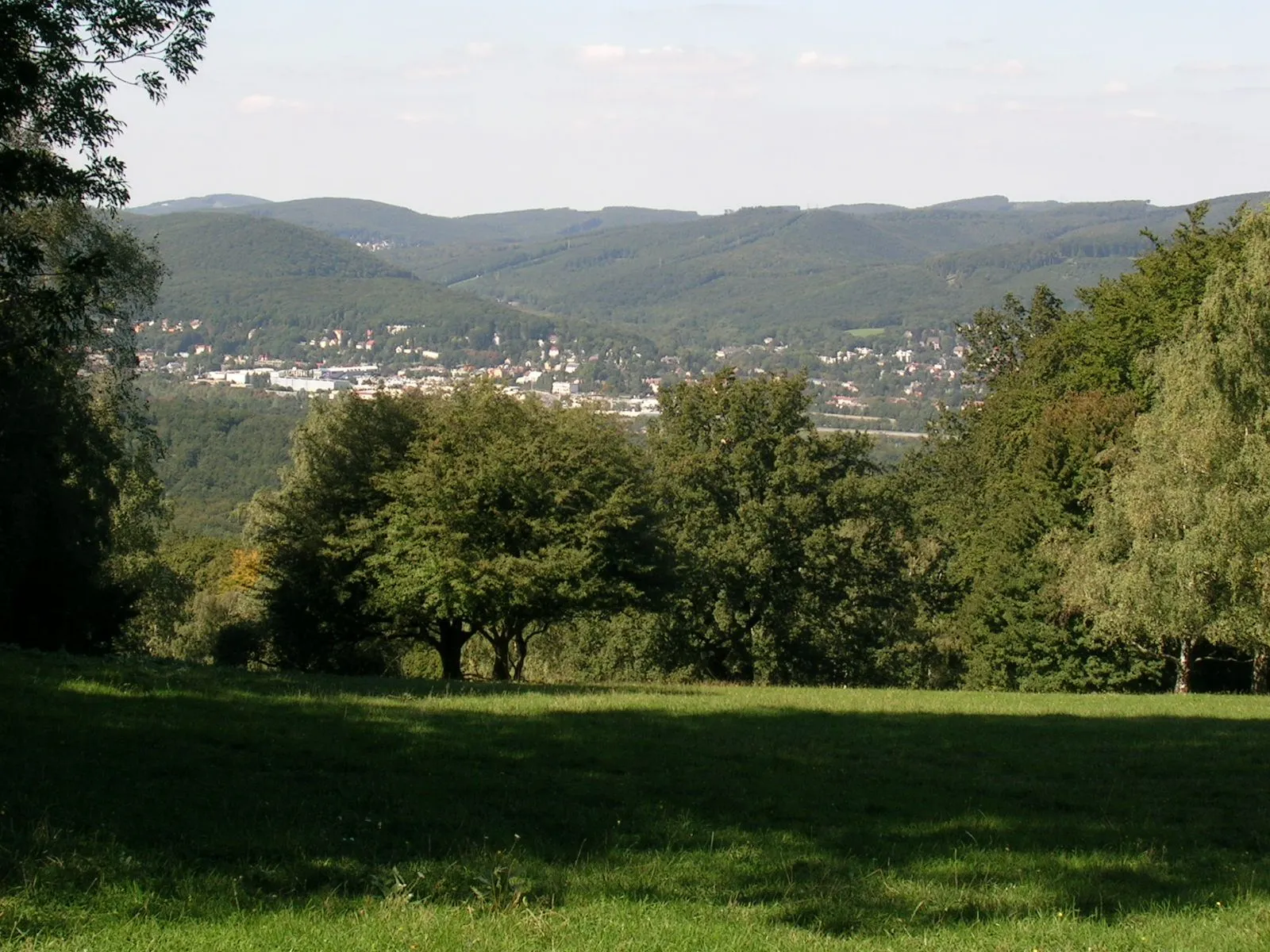 Photo showing: * Lainzer Tiergarten, Hohe Laurenzer Wiese (Nordhang des unbenannten Bergrückens zwischen Kaltbründlberg und Hagenberg, zwischen Rohrhaus und Baderwiese / Wienerblick)
selbst fotografiert Sommer 2006, Nikon 3700
Geof 16:29, 24. Sep 2006 (CEST)