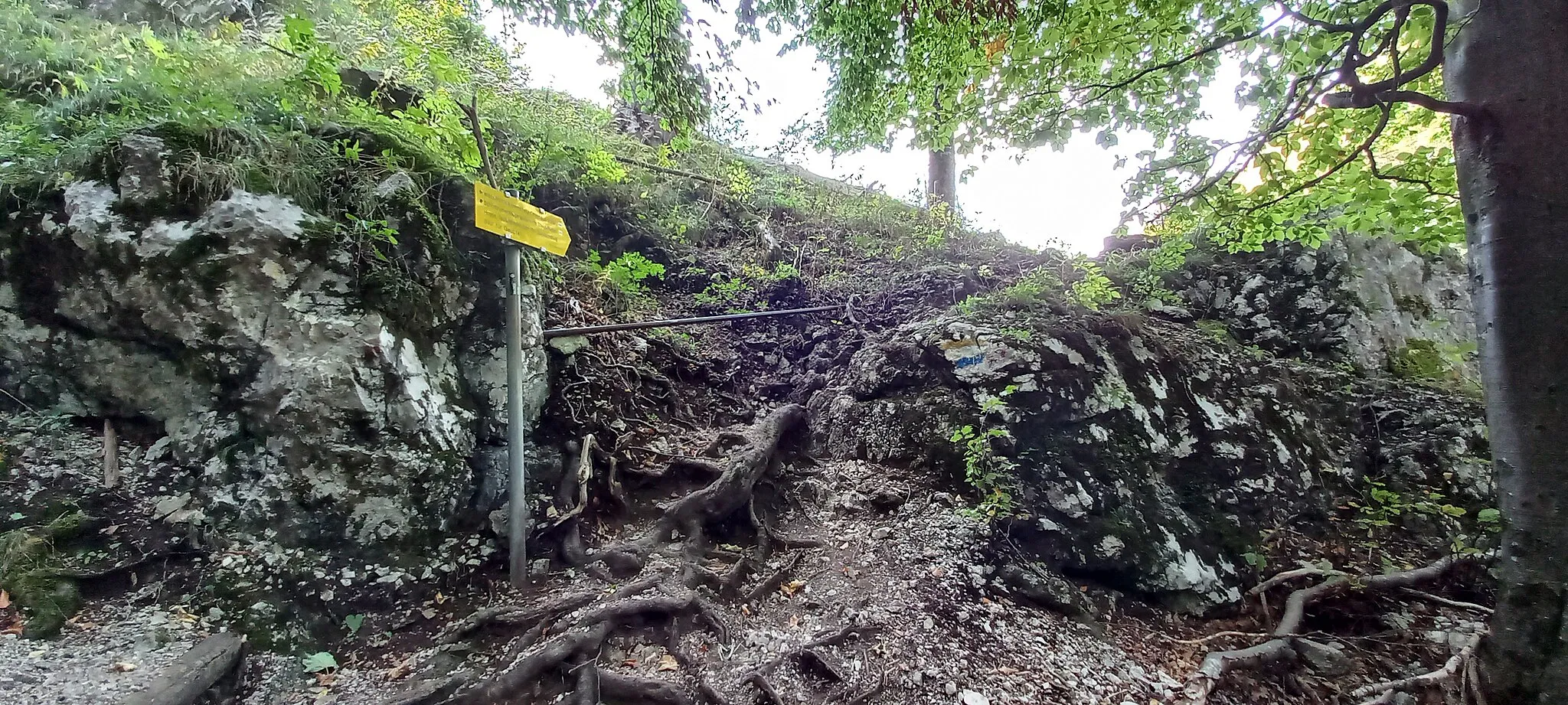 Photo showing: Der Schönbrunnersteig verbindet das Tal der Schwarza beim Weichtal bzw. Weichtalhaus mit dem Großen Höllental der Rax im Süden von Niederösterreich. Er ist benannt nach seinem bekanntesten Teil, der Schönbrunnerstiege, einer Wegebefestigung in Form einer Leiter mit (nach Verlängerung im unteren Teil) 169 Trittstufen. Der Steig selbst weist einige weitere Stellen mit Sicherungen auf, führt nach der Stiege eben bis zur Fahrstraße im Großen Höllental selbst. Der Schönbrunnersteig wurde angelegt, weil der untere  Teil des Großen Höllentals als Teil des Wasserschutzgebietes der 1. Wiener Hochquellenwasserleitung gesperrt wurde, auf diese Weise die Sperre umgangen werden konnte und ein Zugang zu den Klettersteigverbindungen im Großen Höllental möglich blieb.