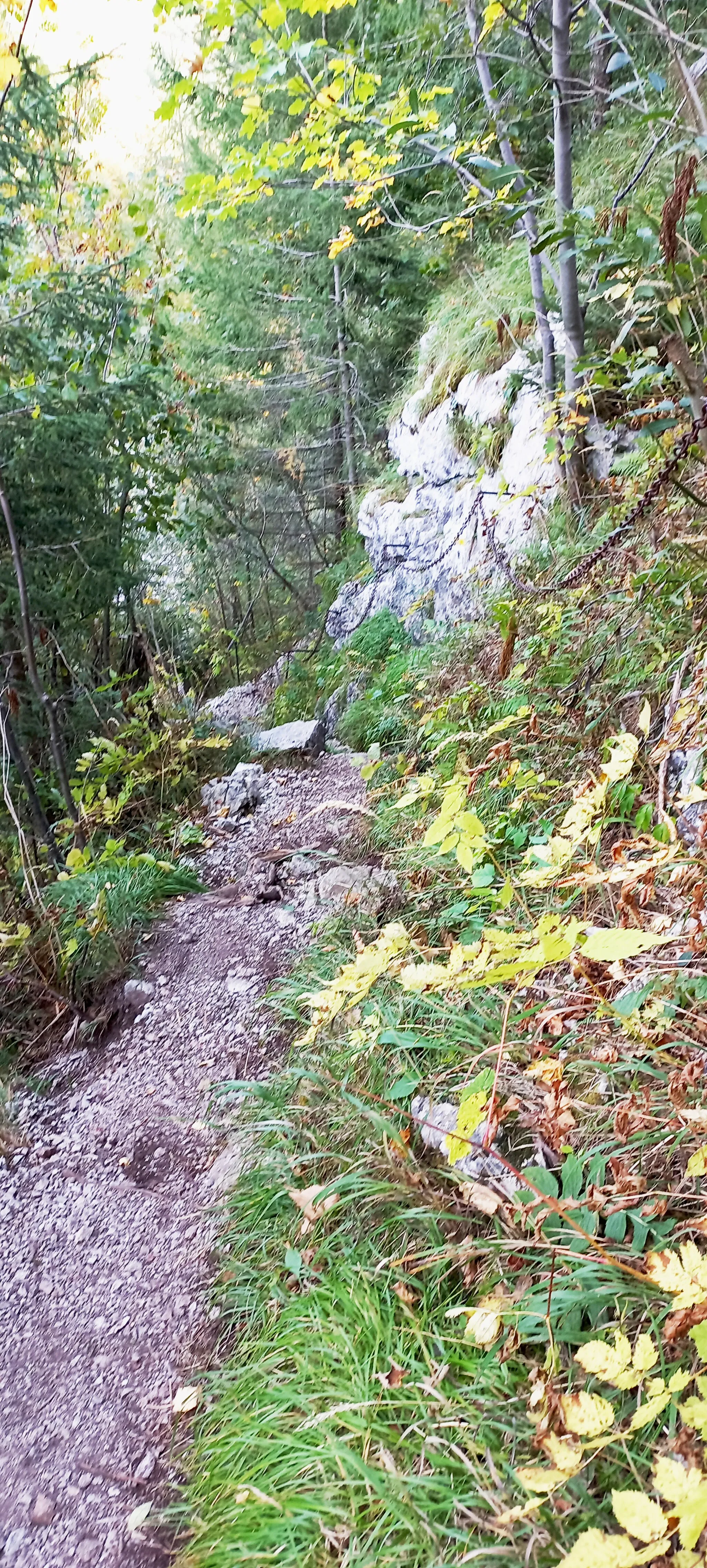 Photo showing: Der Schönbrunnersteig verbindet das Tal der Schwarza beim Weichtal bzw. Weichtalhaus mit dem Großen Höllental der Rax im Süden von Niederösterreich. Er ist benannt nach seinem bekanntesten Teil, der Schönbrunnerstiege, einer Wegebefestigung in Form einer Leiter mit (nach Verlängerung im unteren Teil) 169 Trittstufen. Der Steig selbst weist einige weitere Stellen mit Sicherungen auf, führt nach der Stiege eben bis zur Fahrstraße im Großen Höllental selbst. Der Schönbrunnersteig wurde angelegt, weil der untere  Teil des Großen Höllentals als Teil des Wasserschutzgebietes der 1. Wiener Hochquellenwasserleitung gesperrt wurde, auf diese Weise die Sperre umgangen werden konnte und ein Zugang zu den Klettersteigverbindungen im Großen Höllental möglich blieb.