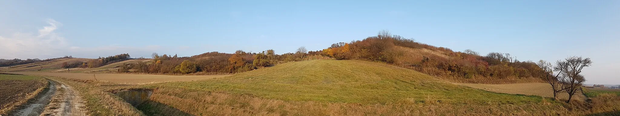 Photo showing: Lange Leite near Herzogbirbaum, district Korneuburg, Lower Austria - ca. 300 m a.s.l.
Semi-dry grassland