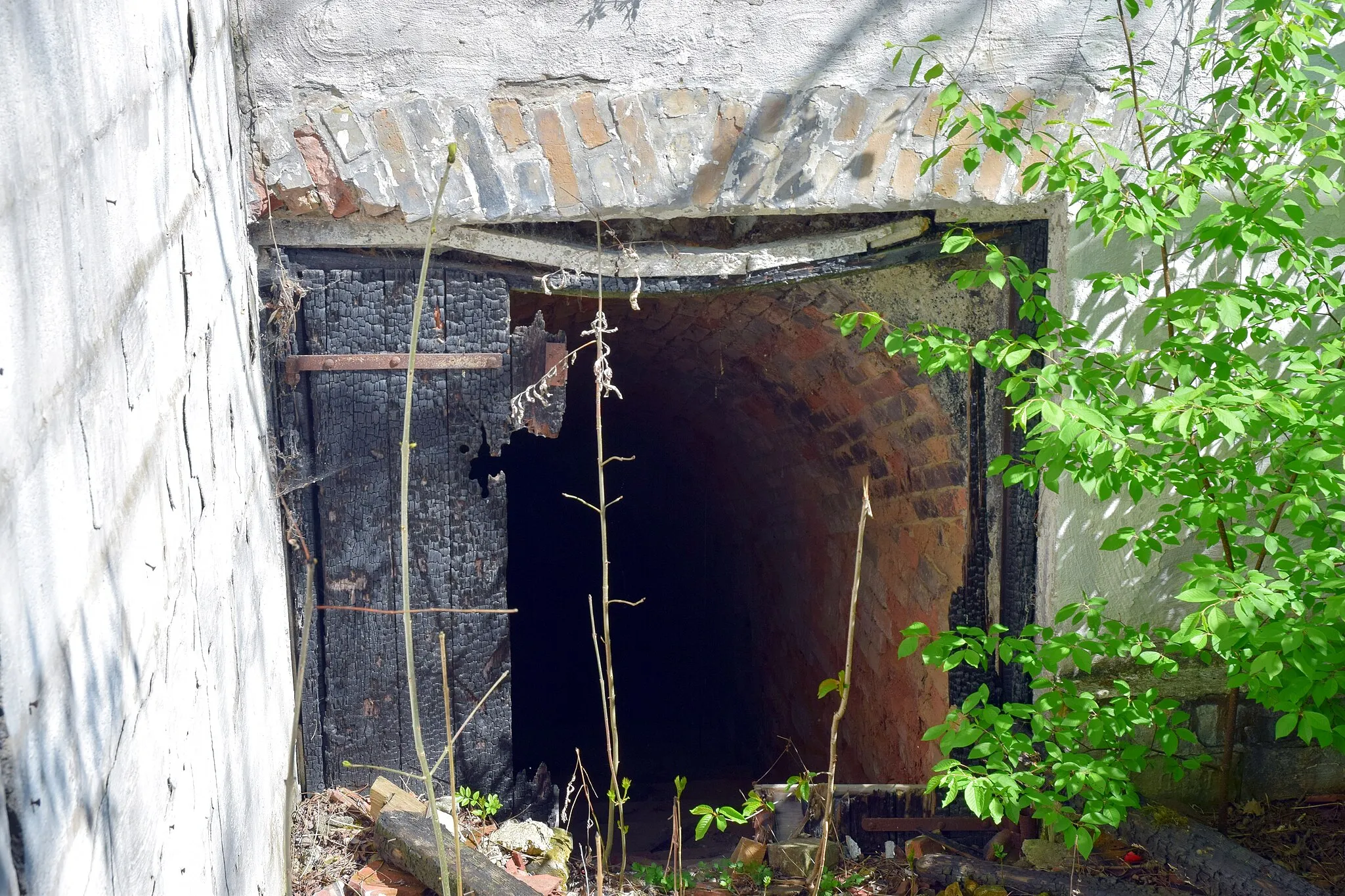 Photo showing: Reste eines Kellers am Brunnberg in der KG Goldgeben in Hausleiten