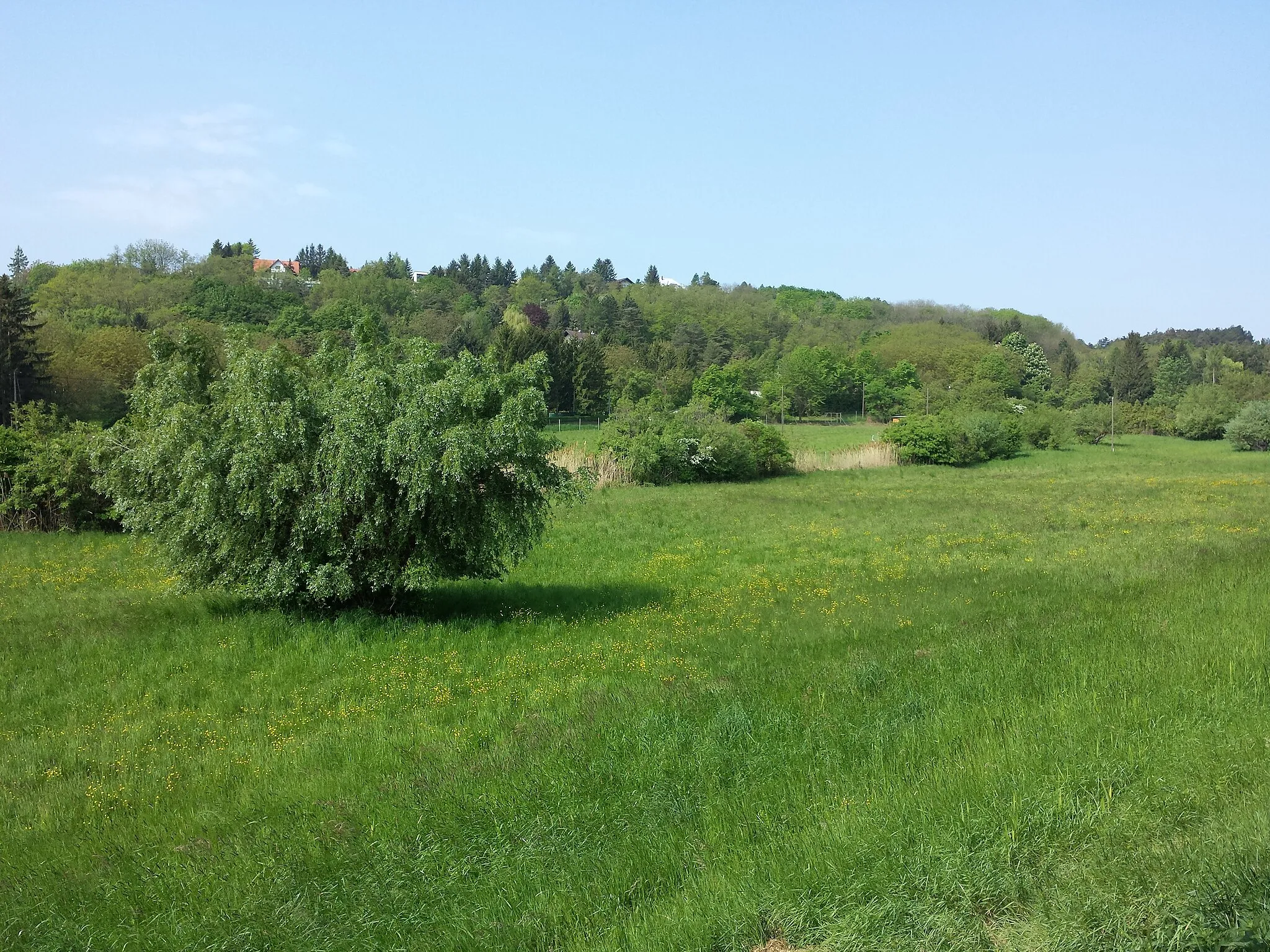 Photo showing: This media shows the natural monument in Lower Austria  with the ID KO-037.