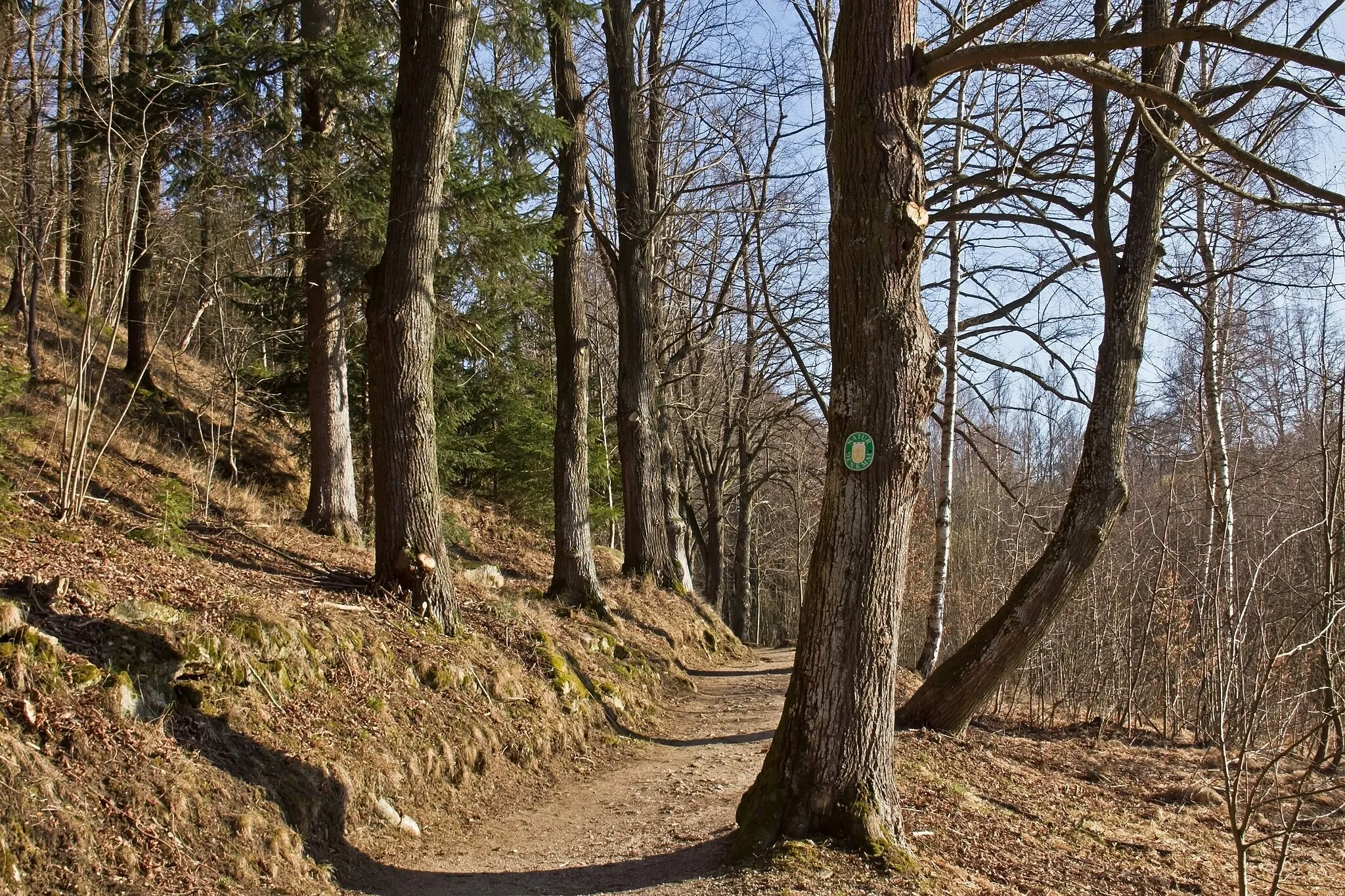 Photo showing: This media shows the natural monument in Lower Austria  with the ID GD-051.