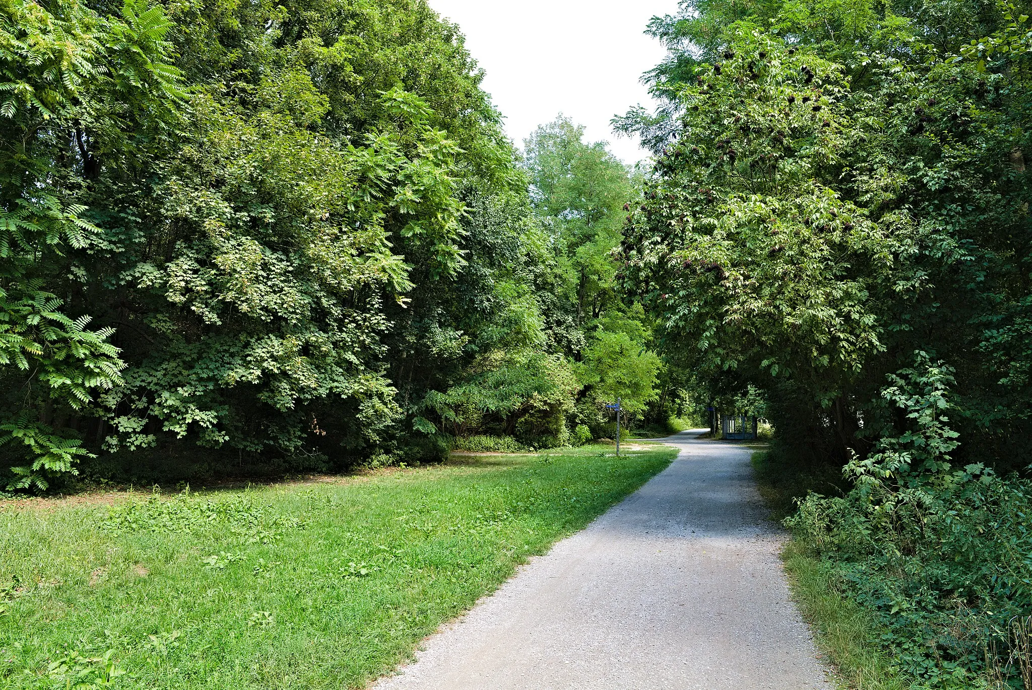 Photo showing: Lobau in Vienna-Landjägermeisteramt.