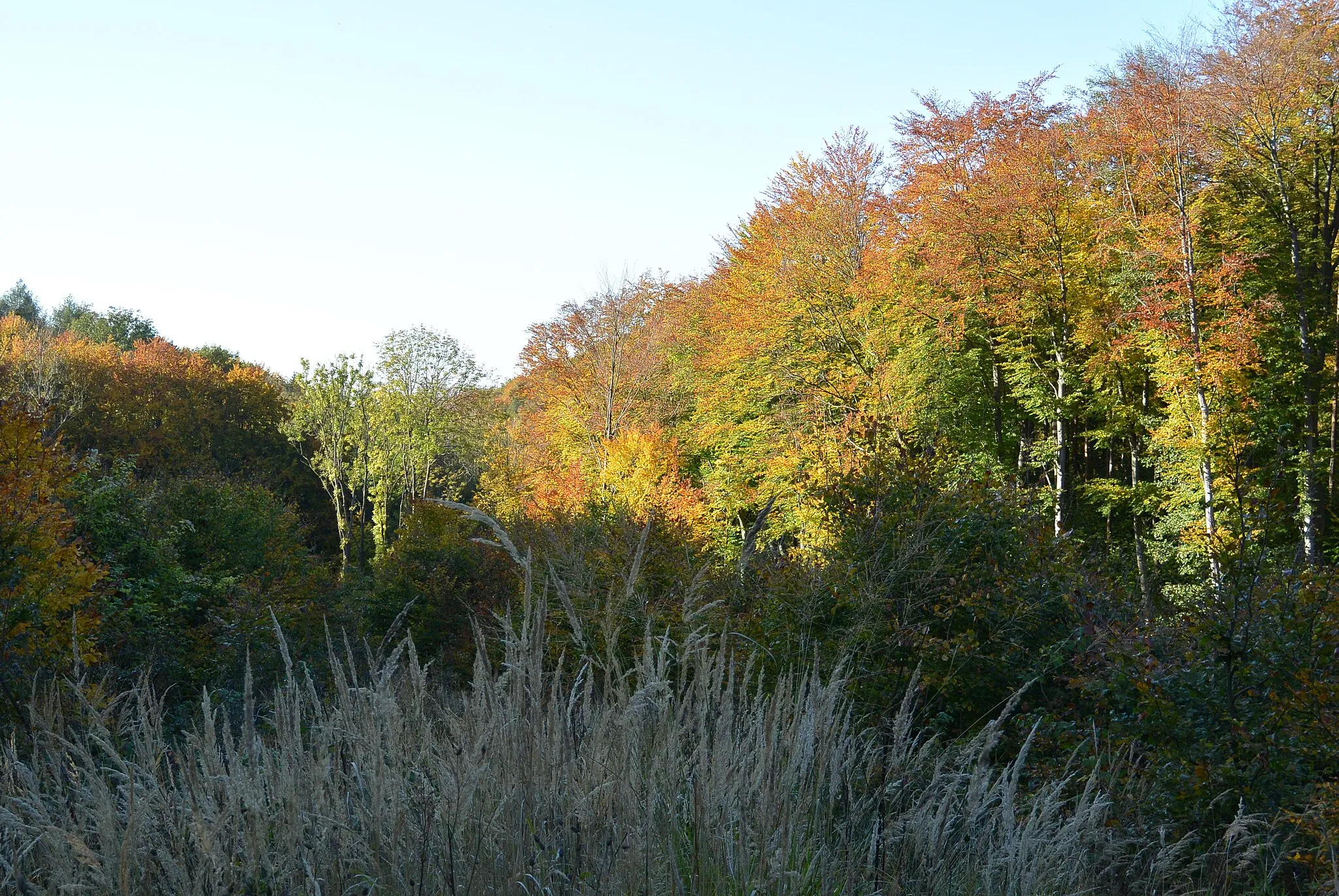 Photo showing: Tulbinger Kogel