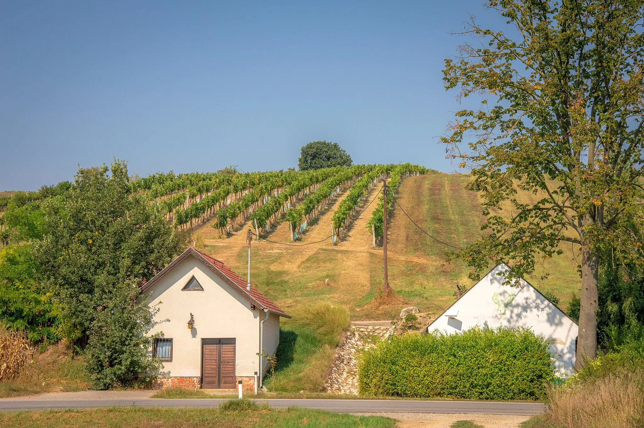 Photo showing: Kellergasse Kellergasse/„Protteser Straße“ in der KG Ebenthal in Ebenthal