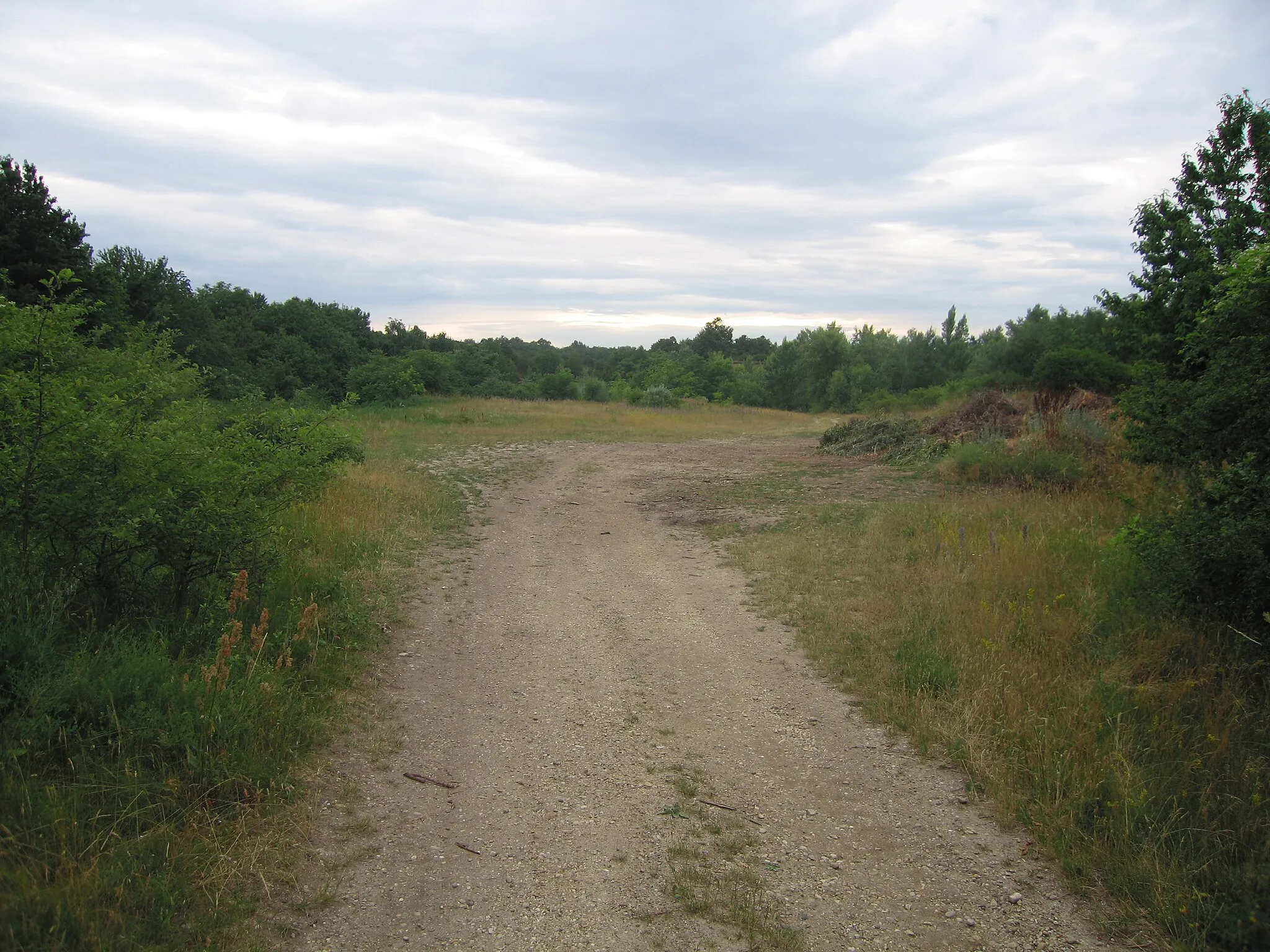 Photo showing: This media shows the natural monument in Lower Austria  with the ID BL-033.