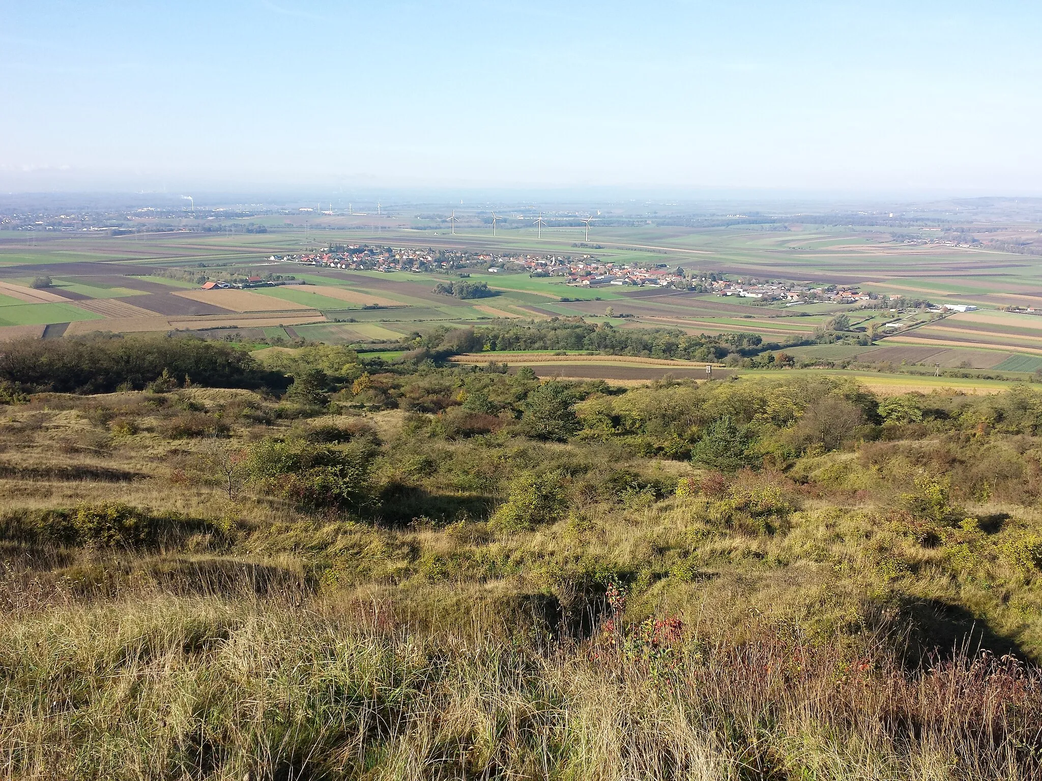 Photo showing: Waschberg near Leitzersdorf, district Korneuburg, Lower Austria - 388 m a.s.l.
Semi dry grassland, view towards Leitzersdorf