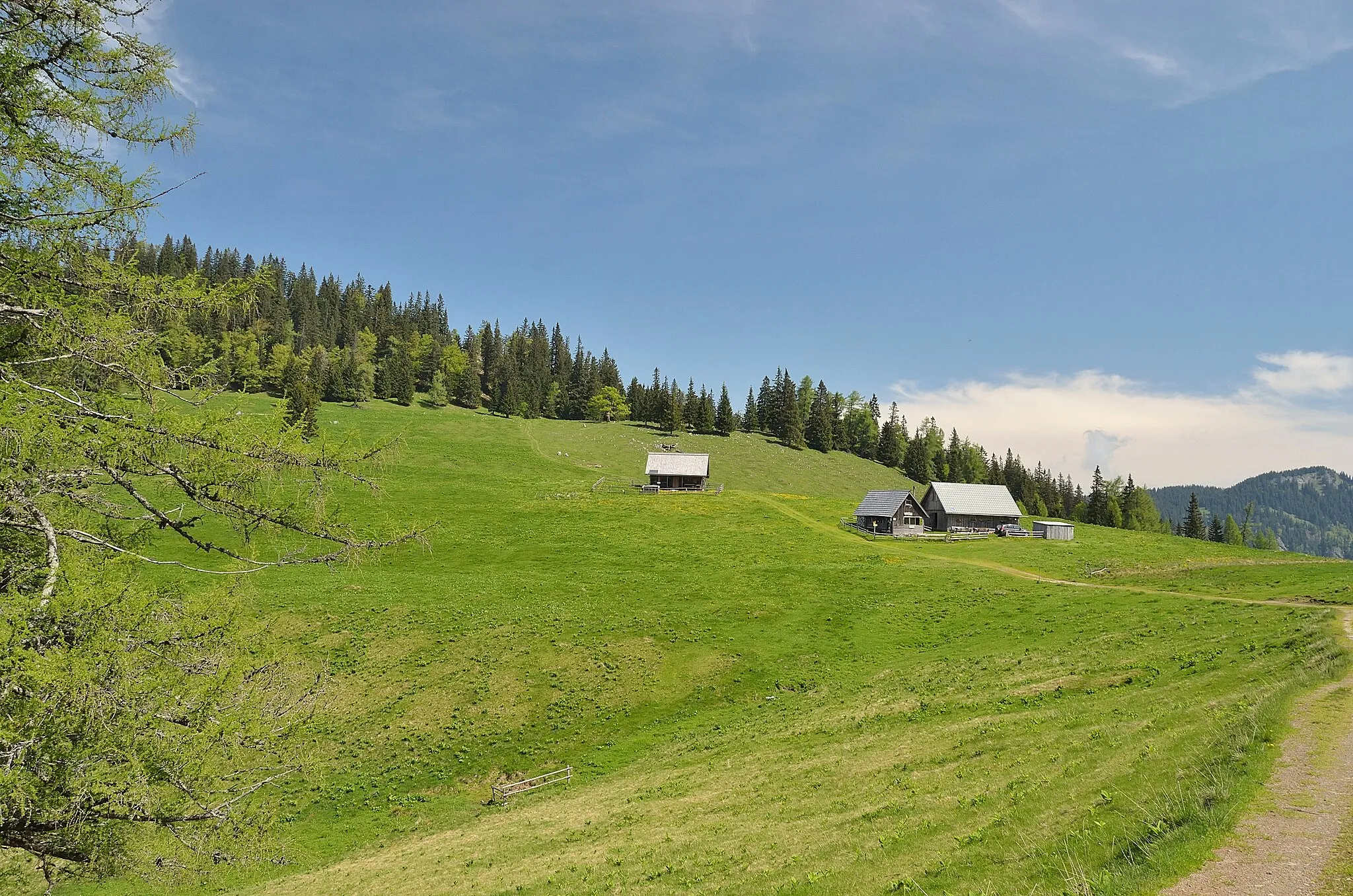 Photo showing: The Sohlenalm is an Alpine pasture at an elevation of 1352 m on the north flank of mountain Veitsch and south of mountain pass Niederalpl, Styria.