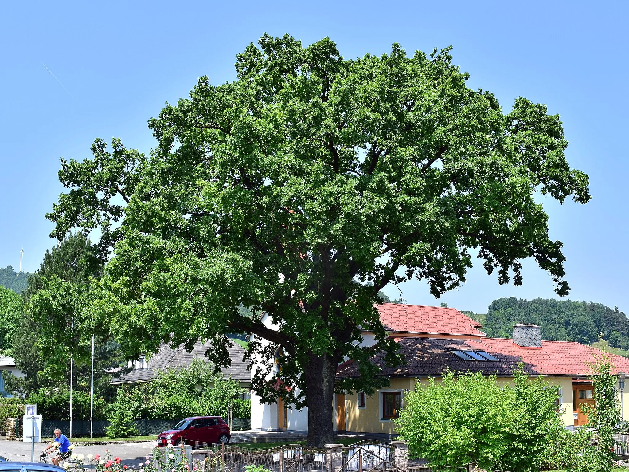 Photo showing: This media shows the natural monument in Lower Austria  with the ID LF-081.