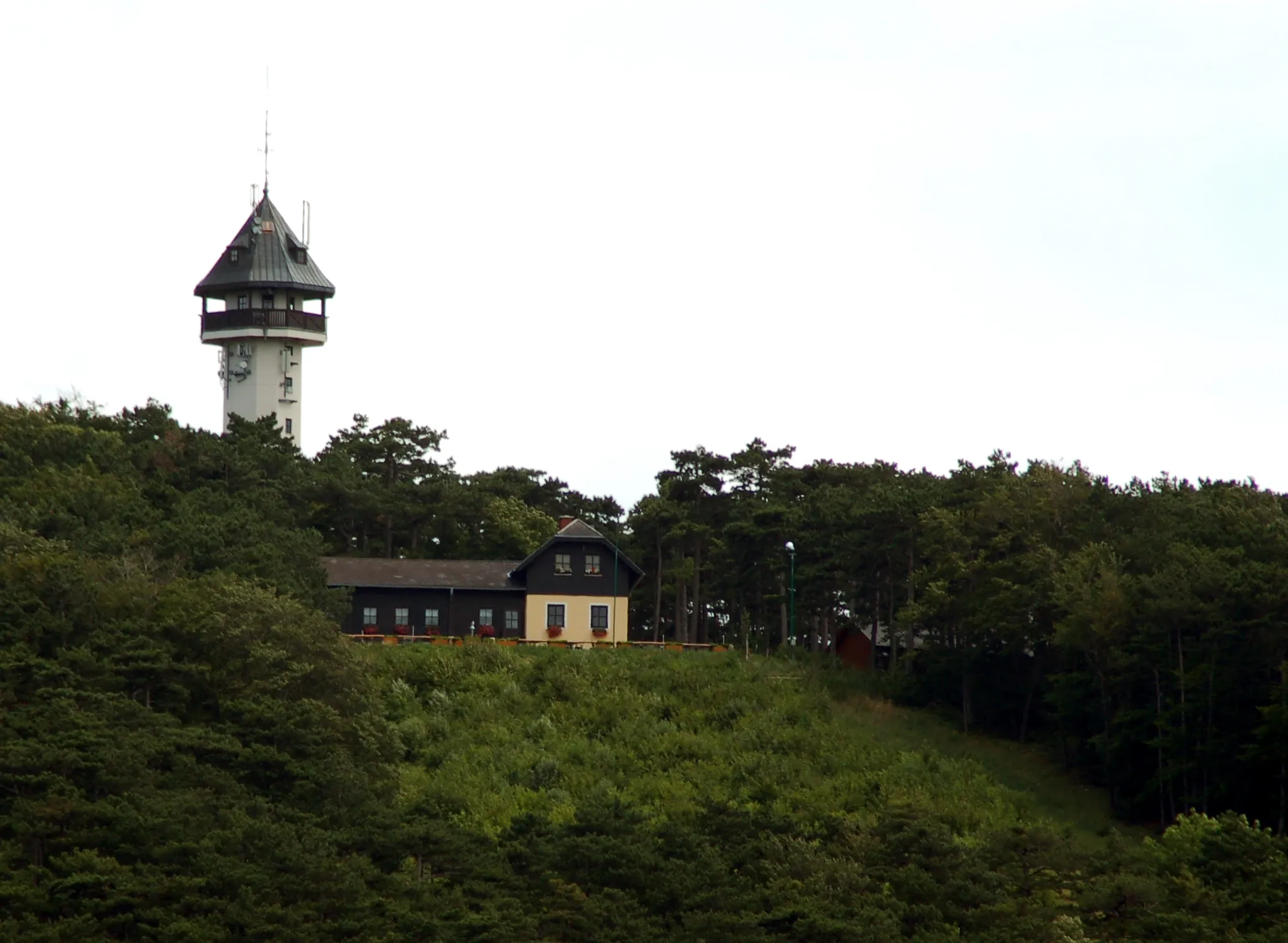 Photo showing: Guglzipf mountain (473m) above Berndorf, Lower Austria, with Waldhütte and Jubiläumswarte (an observation tower).