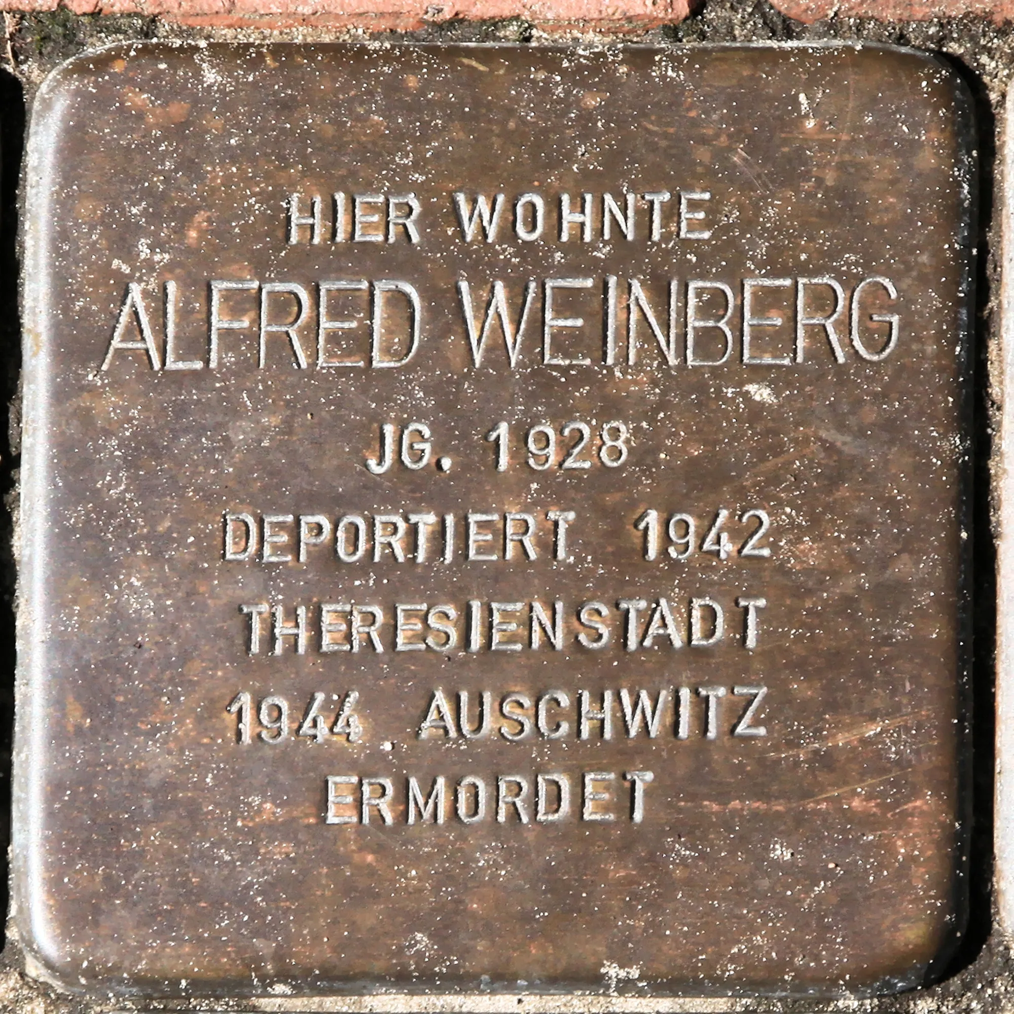 Photo showing: Stolperstein für Alfred Weinberg vor Haus Wahner Straße 7 in Sögel