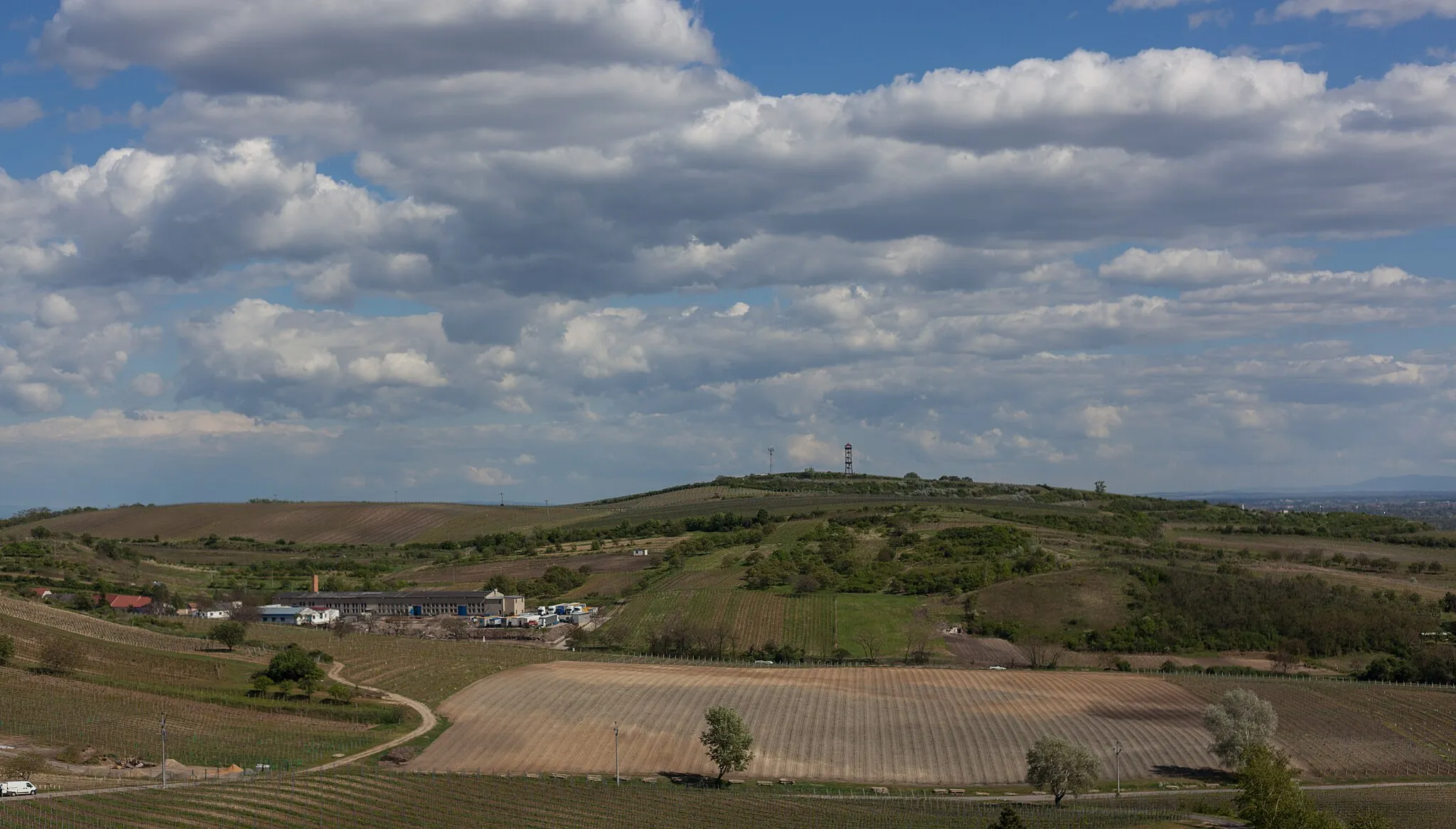 Photo showing: View from Dalibor lookout tower to the south-east, Zaječí, Břeclav District, South Moravian Region, Czechia