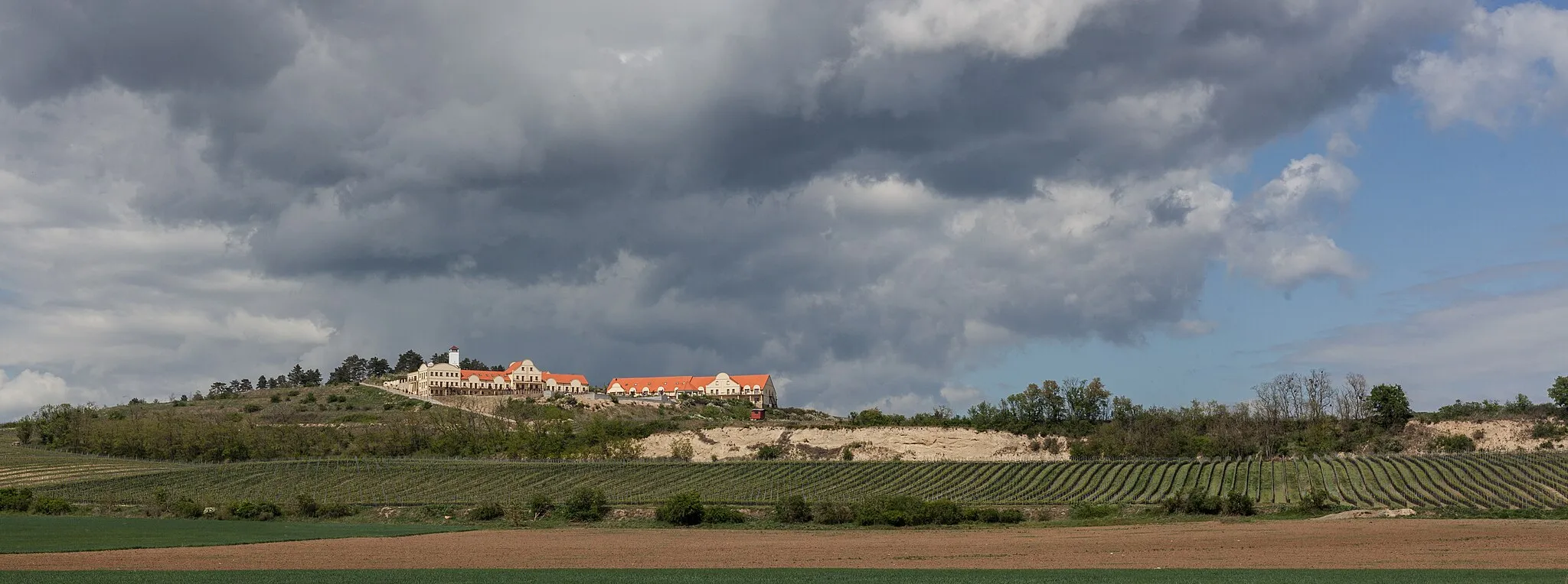 Photo showing: Wineyard "U Kapličky" in Zaječí, Břeclav District, South Moravian Region, Czechia