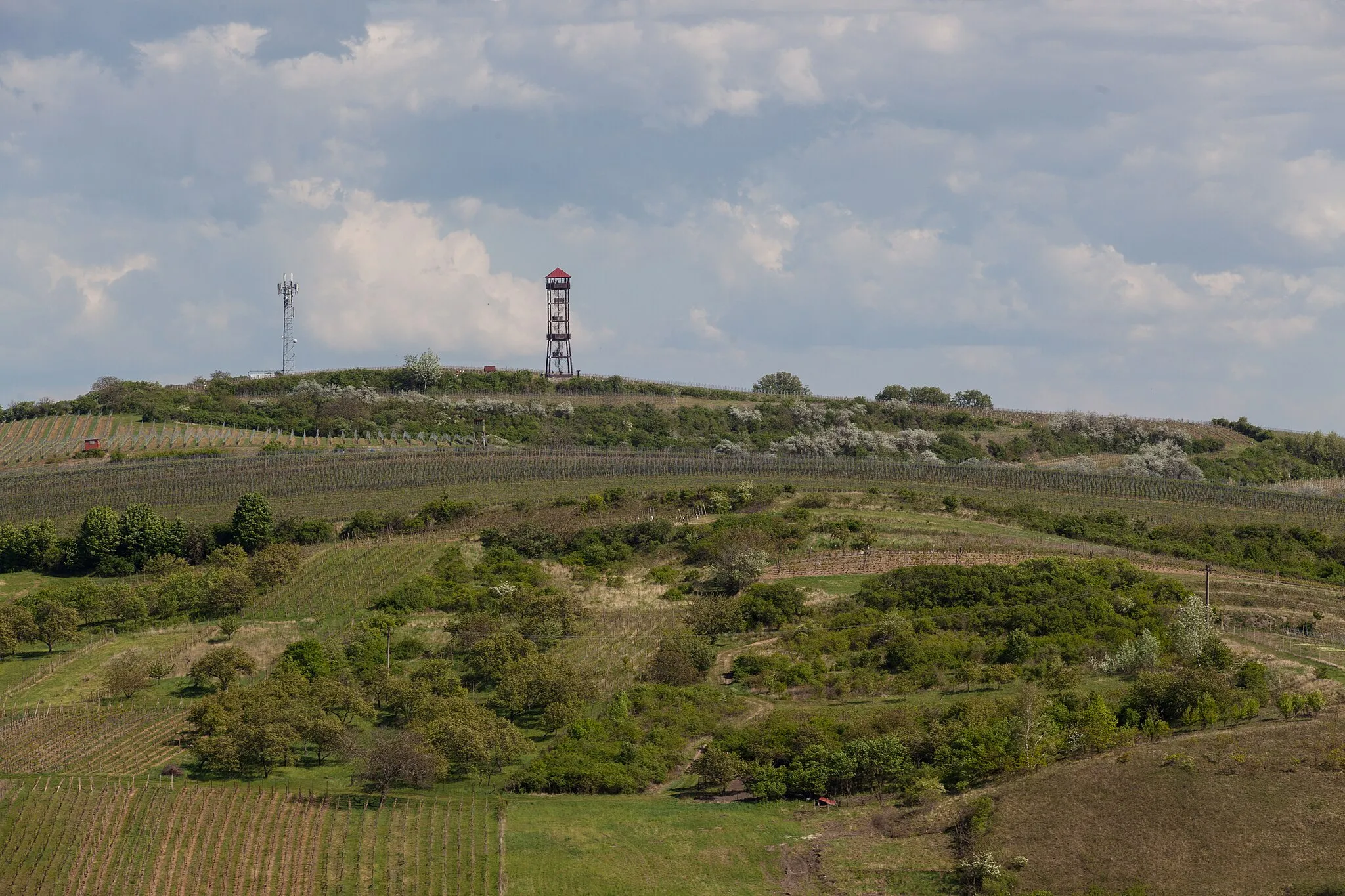 Photo showing: Maják lookout tower as seen from Dalibor lookout tower in Zaječí, Břeclav District, South Moravian Region, Czechia in 2020