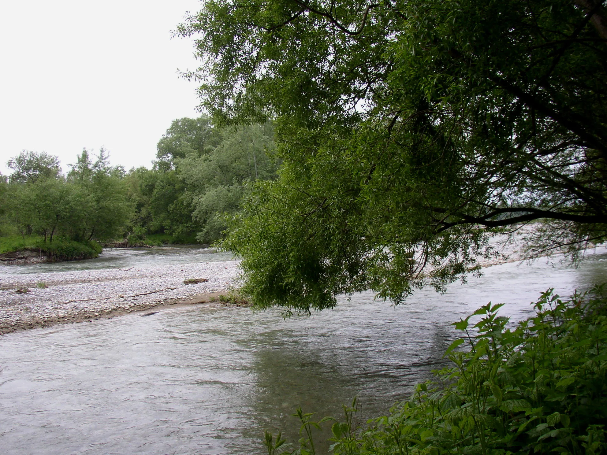 Photo showing: The rivers Schwarza (from the right) and Pitten (centre) merge into the river Leitha near Haderswoerth, municipality Lanzenkirchen.