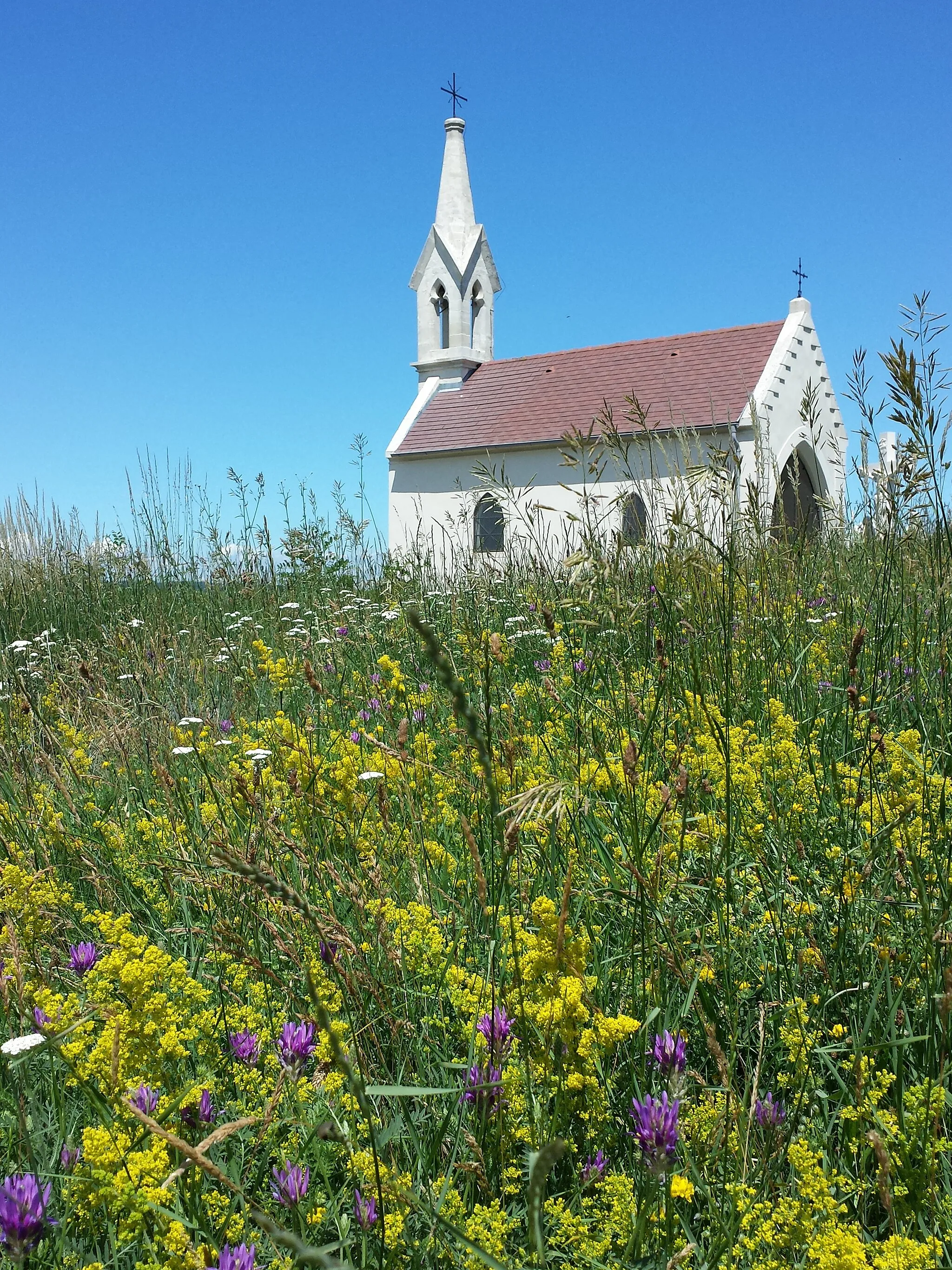 Photo showing: Kalvarienberg in Neusiedl am See, district Neusiedl am See, Burgenland, Austria - ca. 160 m a.s.l.
Dry grassland and chapel