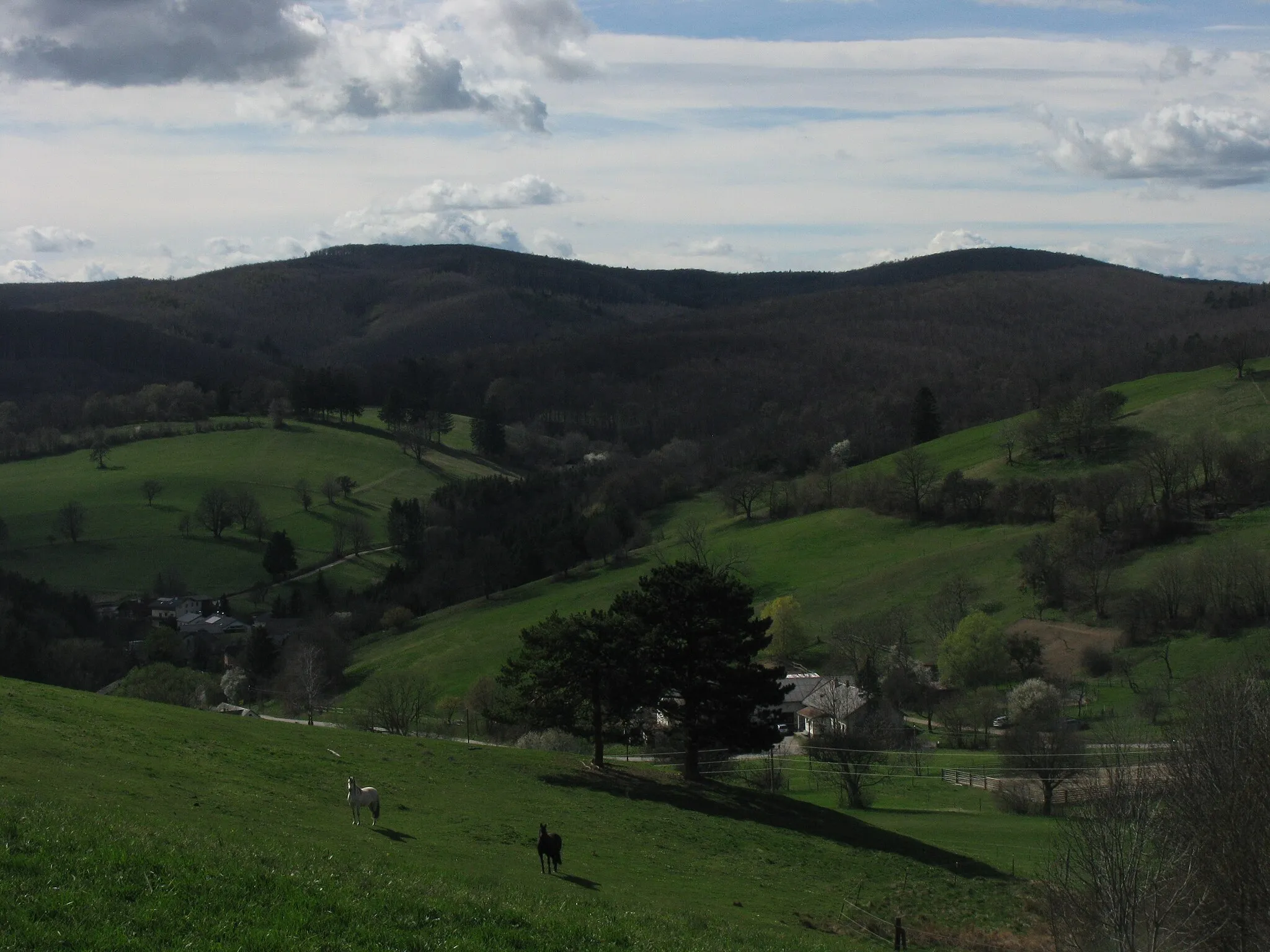 Photo showing: Blick von Hochroterd (Gemeinde Breitenfurt) über Großhöniggraben zum Hengstlberg (619 m, rechts), links der Mitterriegel (614 m) und dahinter die Ostschulter des Steinplattls