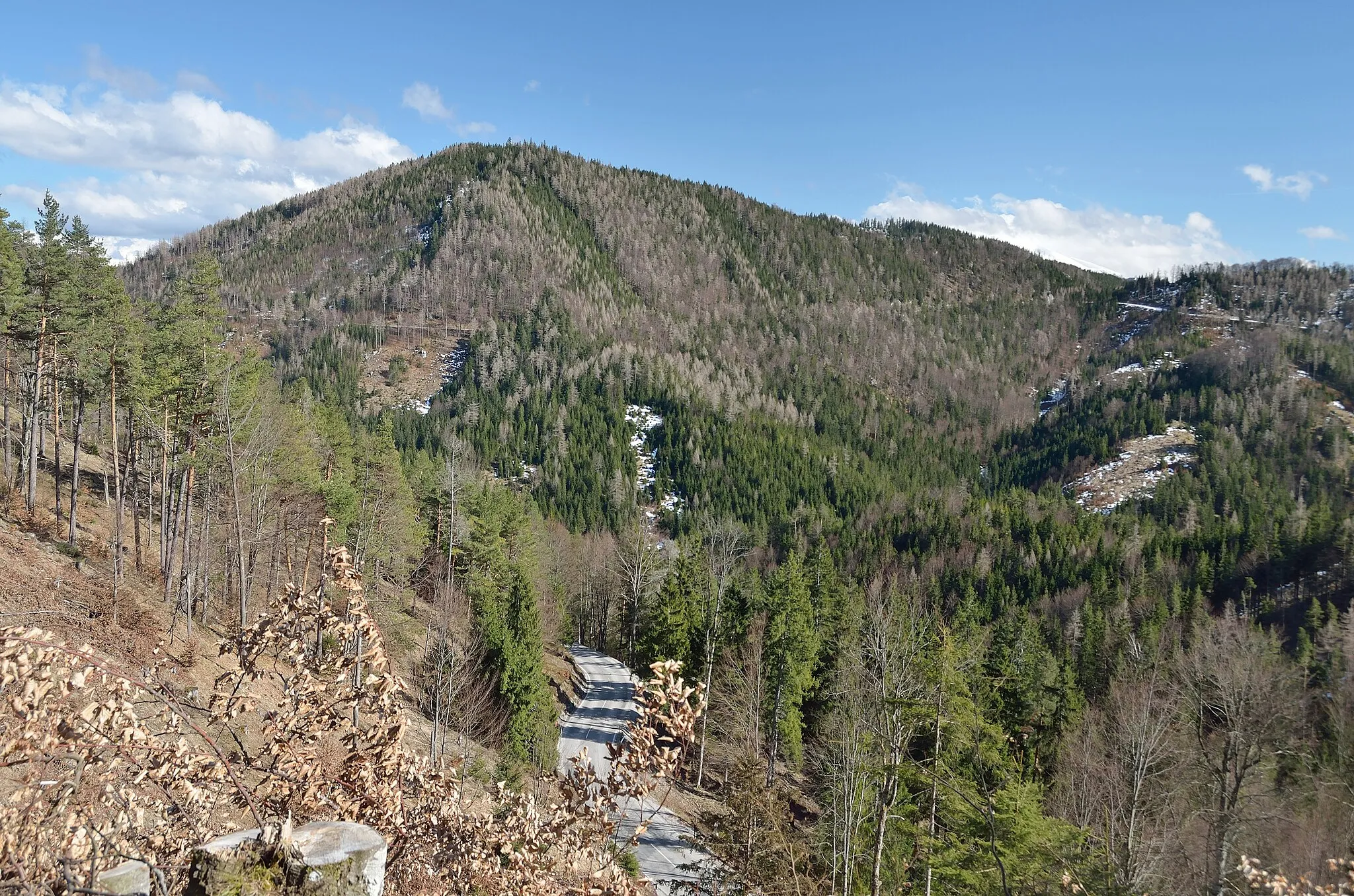 Photo showing: Kleiner Größenberg, 1086 m, Gutensteiner Alpen, von NW