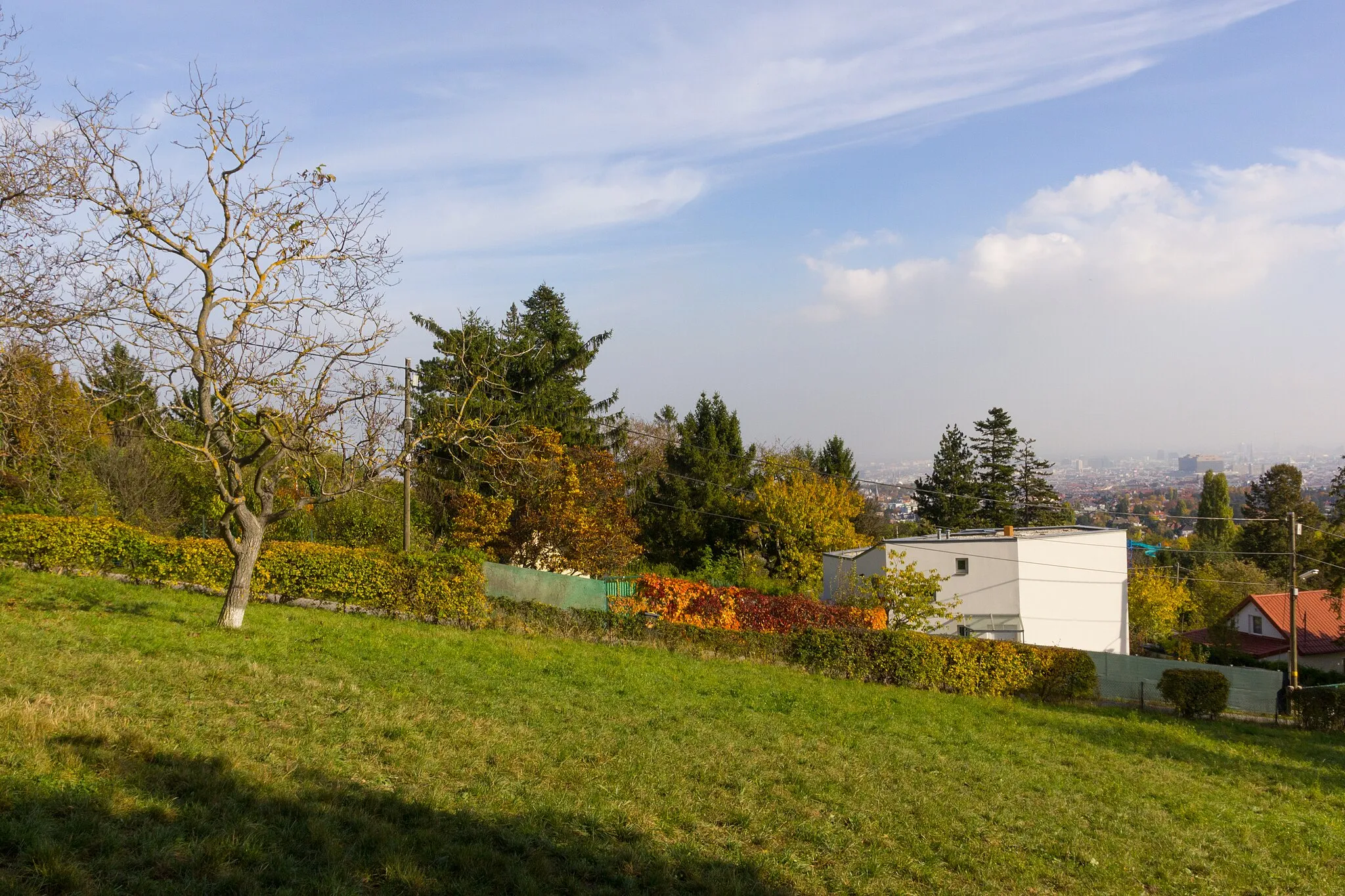 Photo showing: Houses in the allotment Schafberg-Siedlung, seen form the meadow at Ladenburghöhe