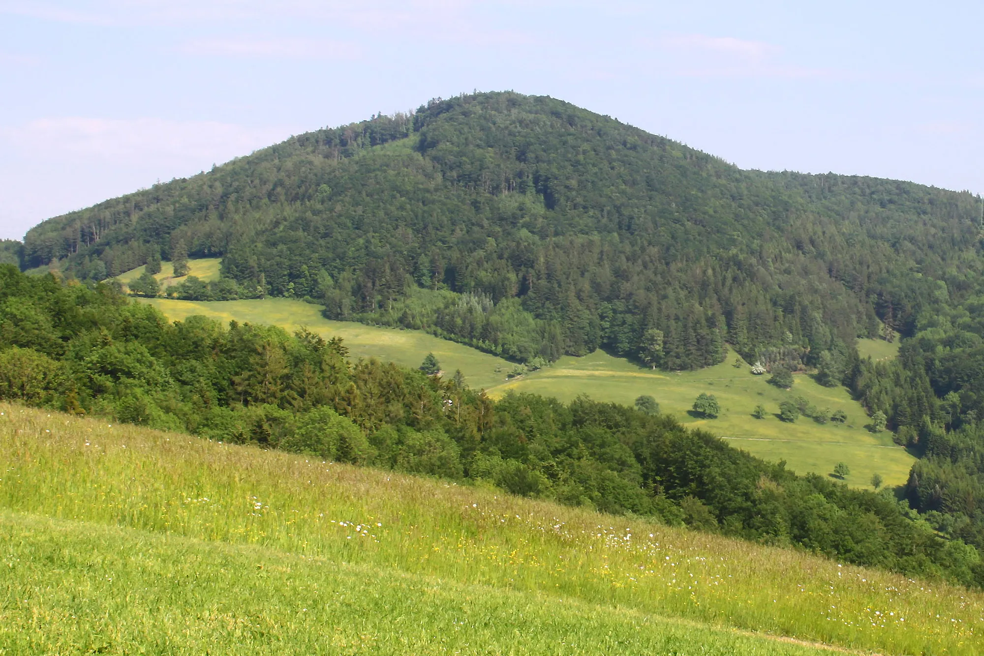 Photo showing: Ansicht des Gföhlbergs von Westen