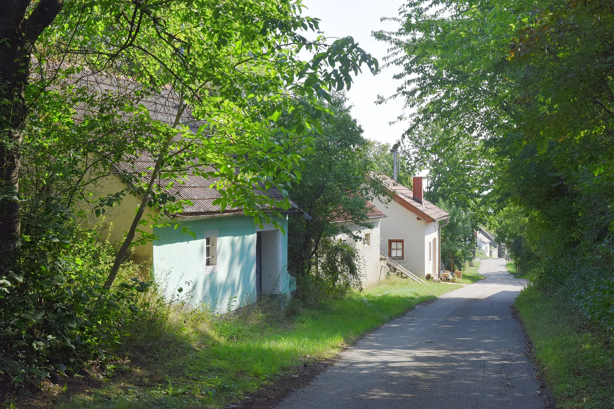 Photo showing: Kellergasse Steinperzbach in der KG Grafenberg in Straning-Grafenberg