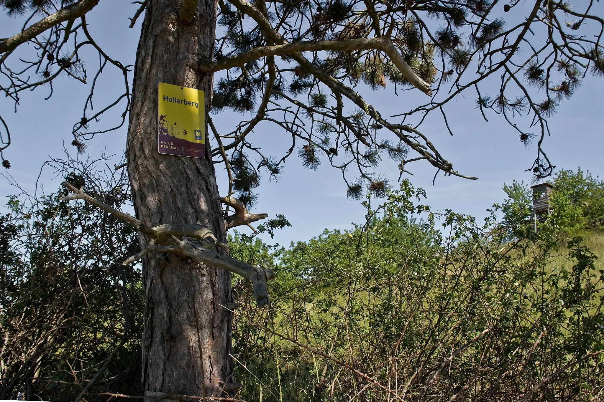 Photo showing: This media shows the natural monument in Lower Austria  with the ID HO-098.