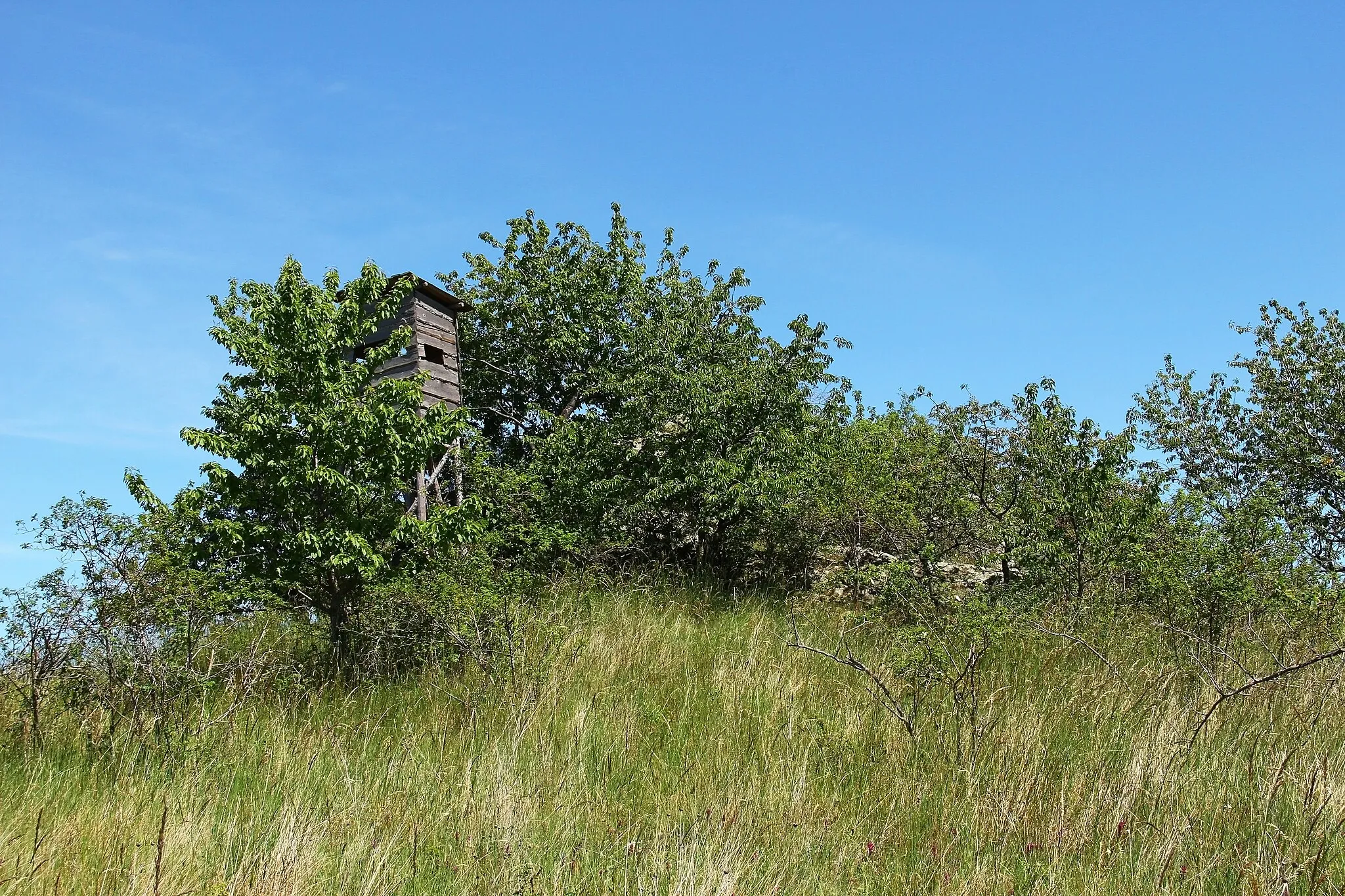 Photo showing: This media shows the natural monument in Lower Austria  with the ID HO-098.