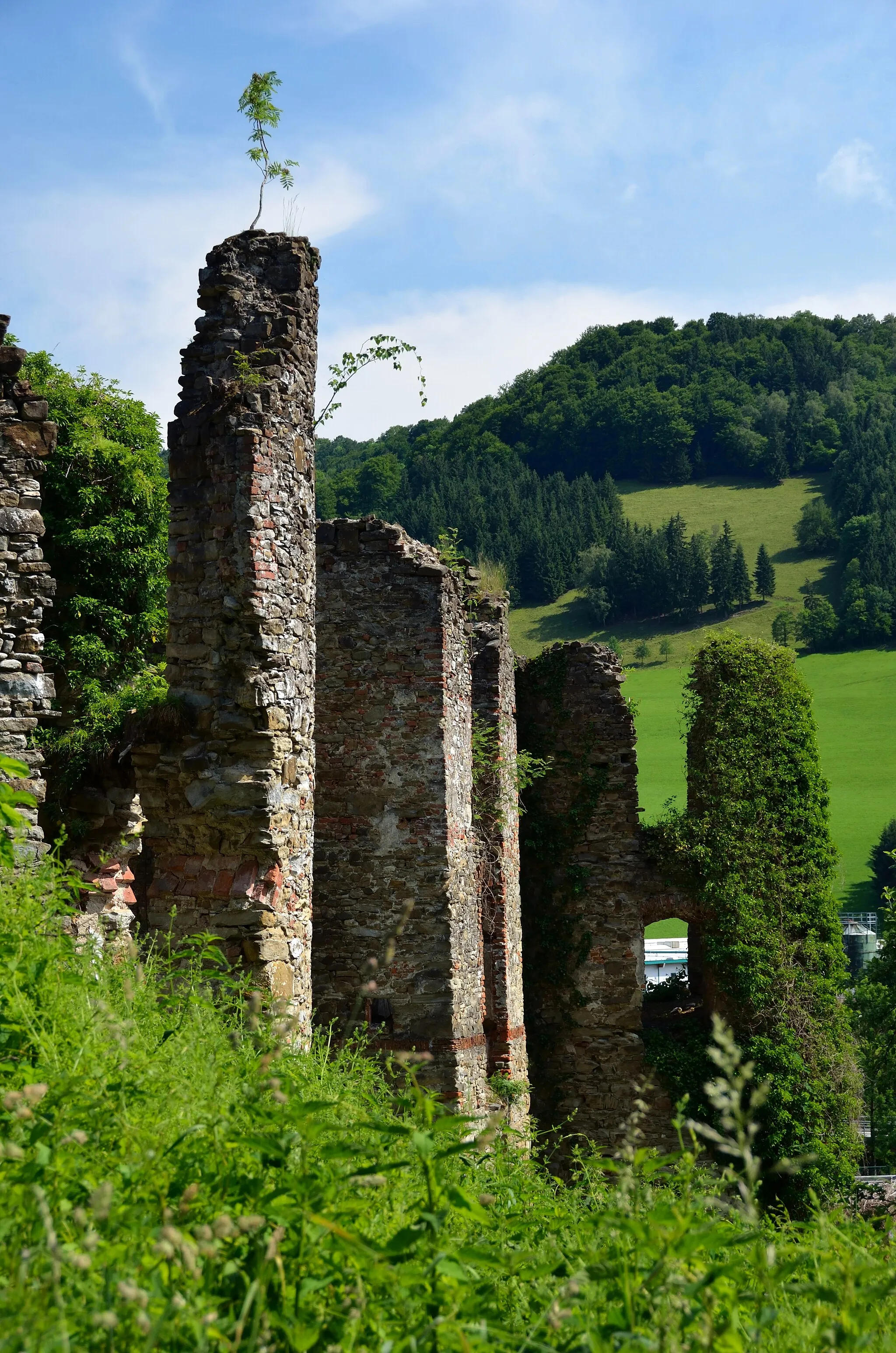 Photo showing: The ruins of Schloss Niederperwarth in municipality Randegg, Lower Austria, are protected as a cultural heritage monument.