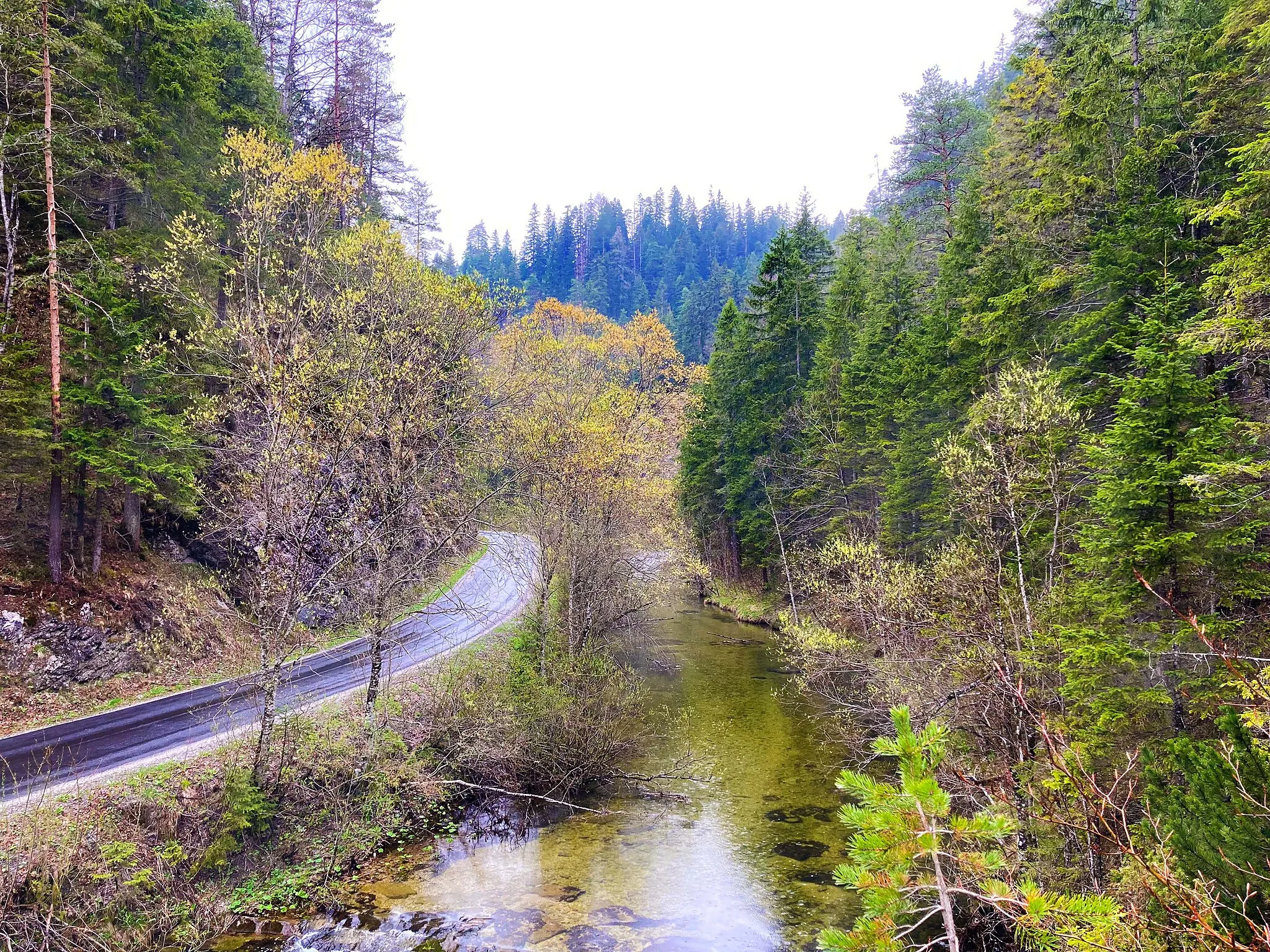 Photo showing: Das Tal der Walster bei Mariazell