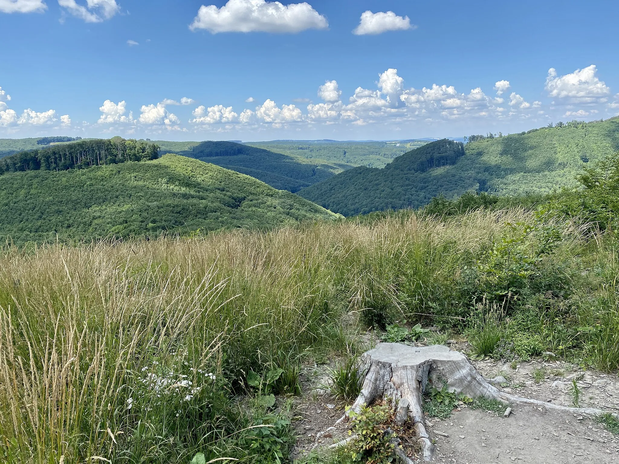 Photo showing: Blick von Zwei Gehängte über das Tal des Weidlingbachs bei Hinterweidling in Niederösterreich.