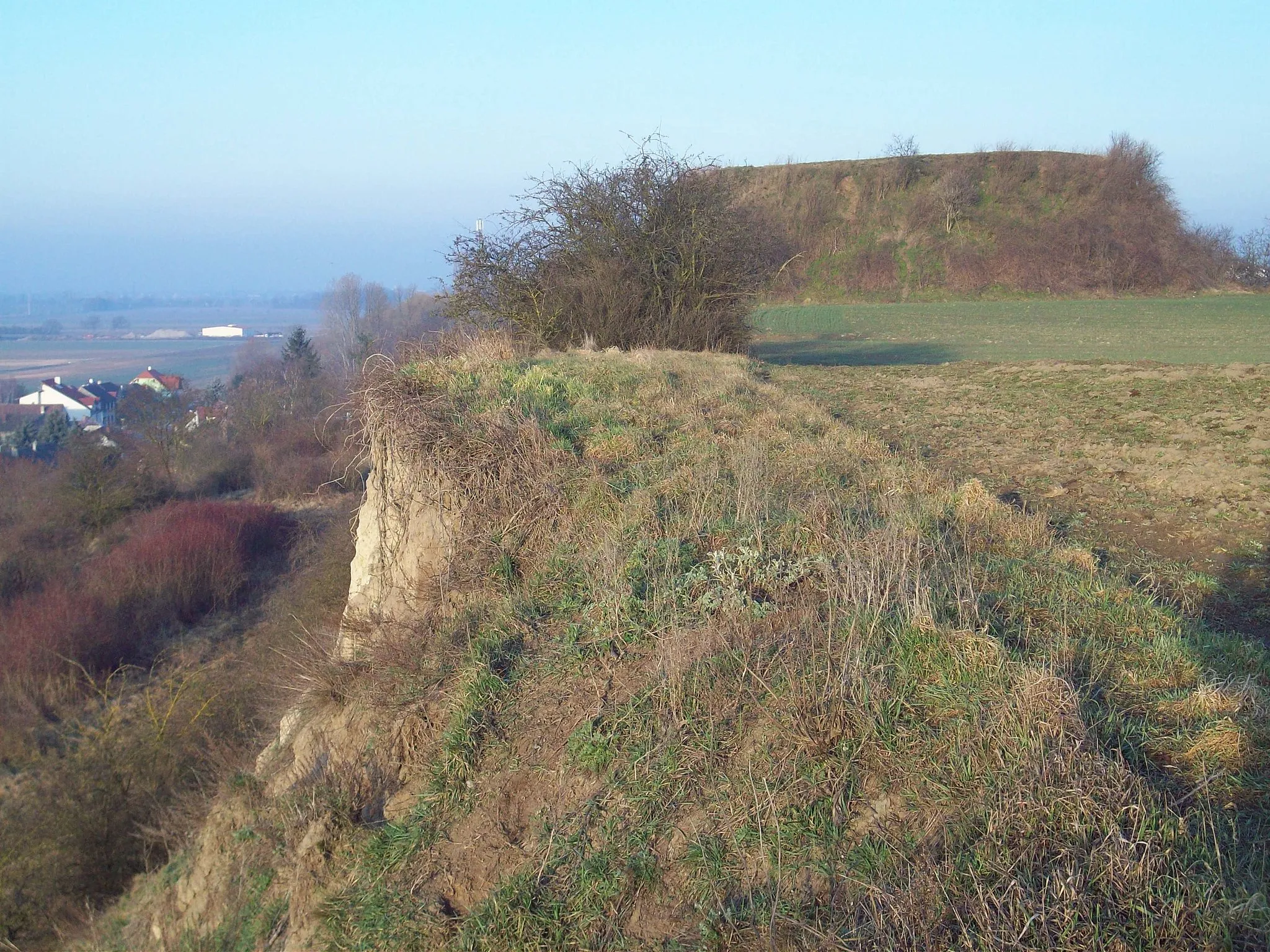 Photo showing: Denkmalgeschützter Tumulus in Pettendorf, eine Ortschaft in der niederösterreichischen Gemeinde Hausleiten.