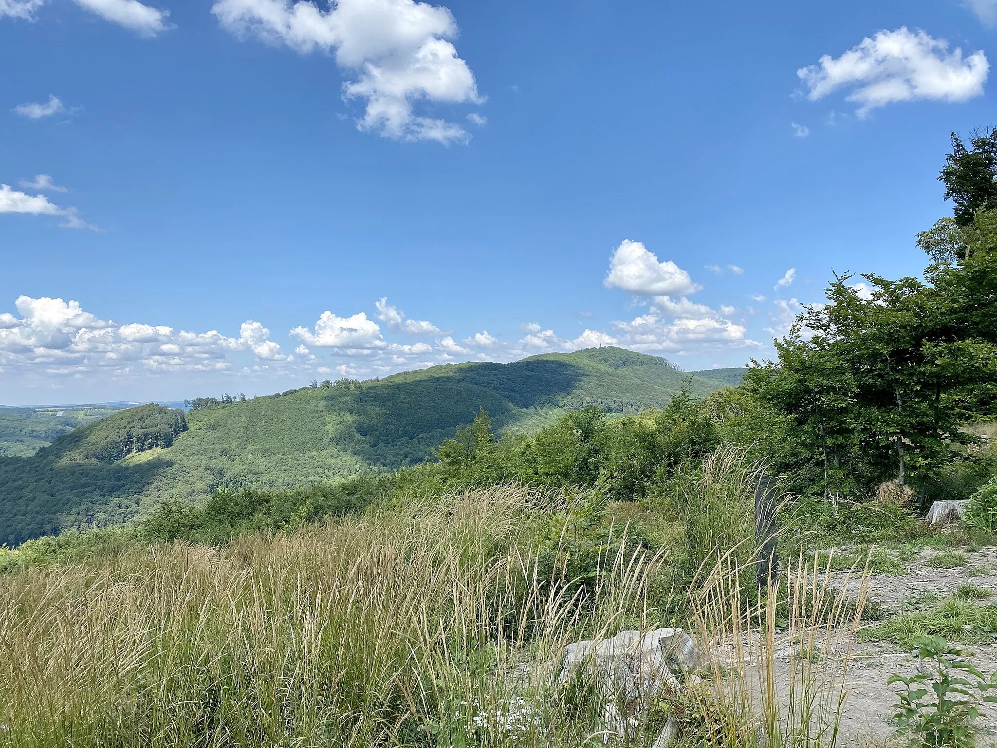 Photo showing: Blick von Zwei Gehängte auf den Hermannskogel in Wien.