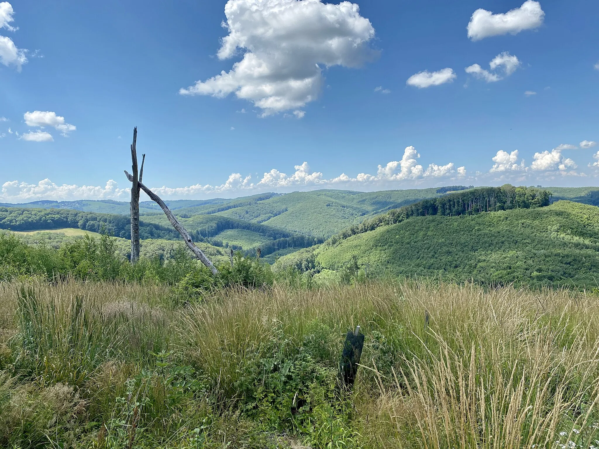 Photo showing: Blick von Zwei Gehängte auf den Simonsberg und über das Tal des Weidlingbachs in Niederösterreich.