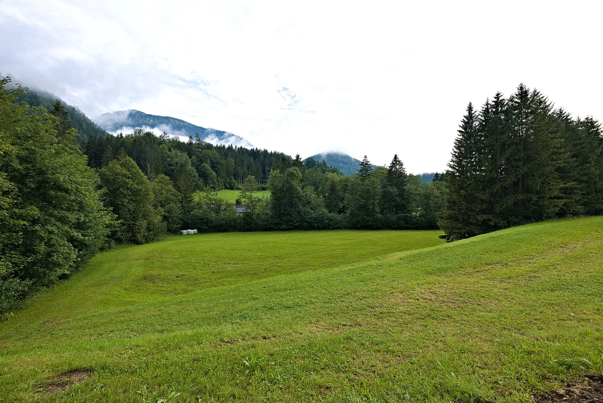 Photo showing: Meadow in Lunz am See.