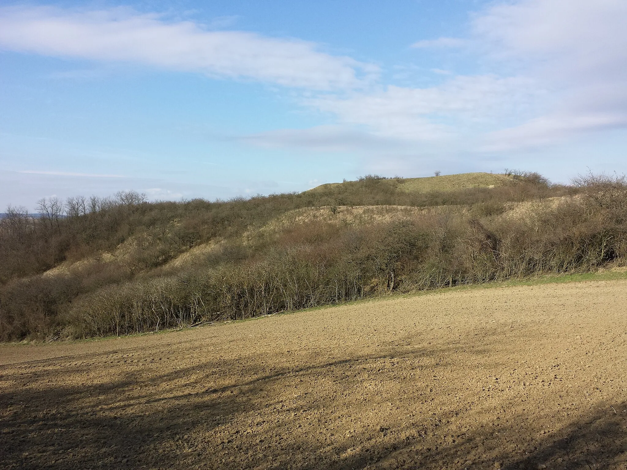 Photo showing: Dernberg, Nappersdorf-Kammersdorf, district Hollabrunn, Lower Austria - ca. 280 m ü. A.
Motte seen from the East